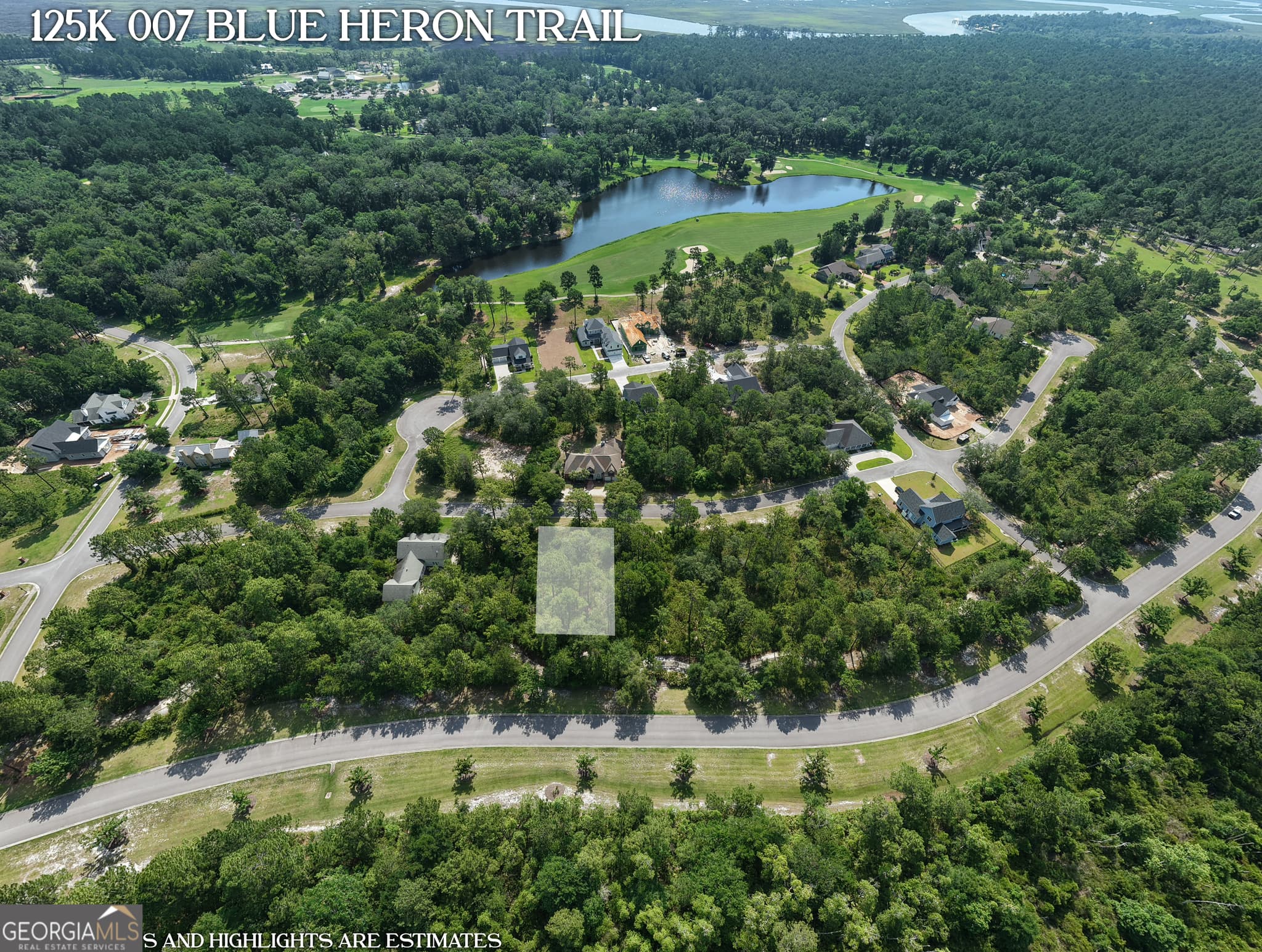 residential lot for sale at LOT 7 Blue Heron Trail, Waverly, GA 31565 — photo 6