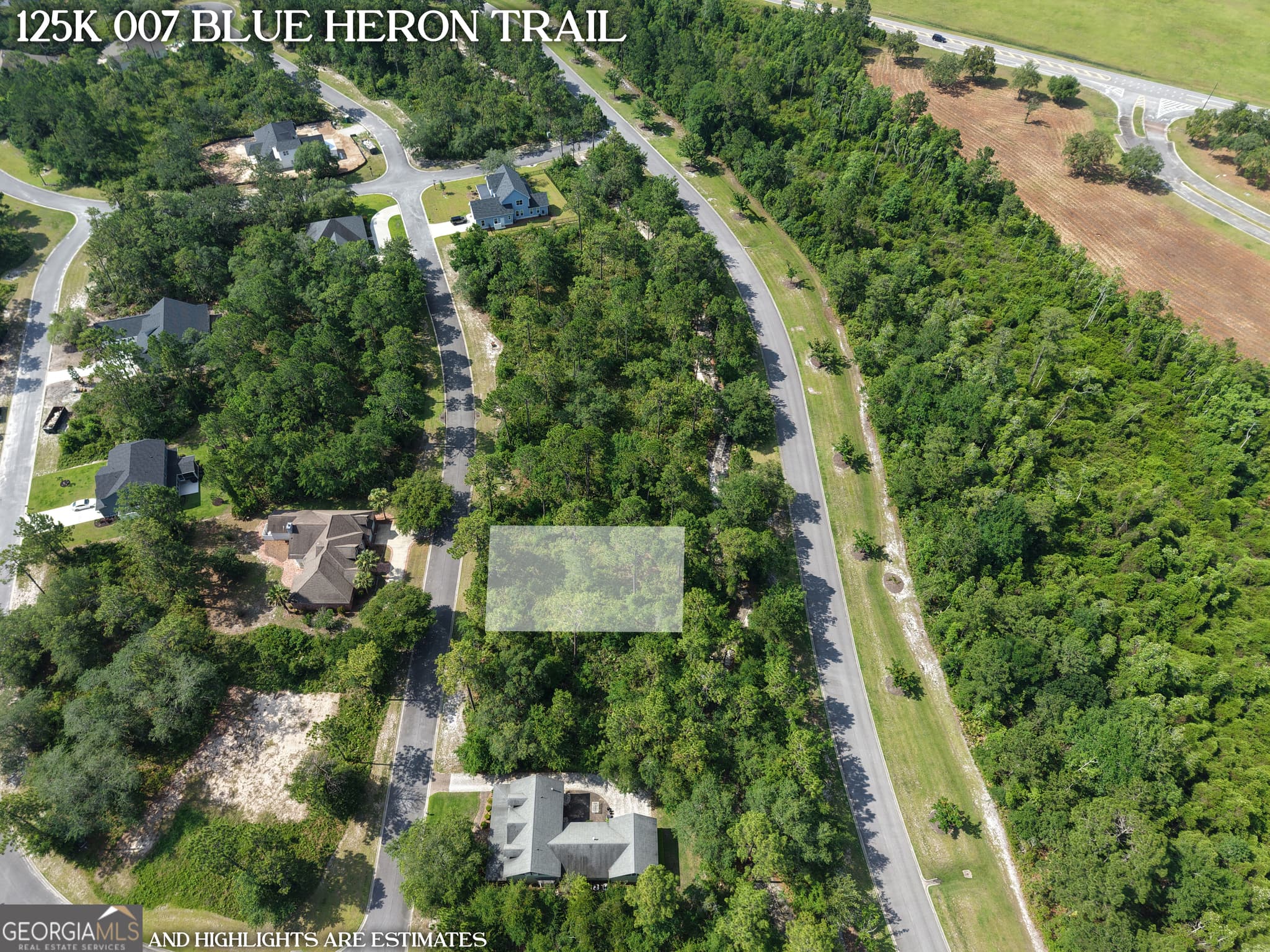 residential lot for sale at LOT 7 Blue Heron Trail, Waverly, GA 31565 — photo 3