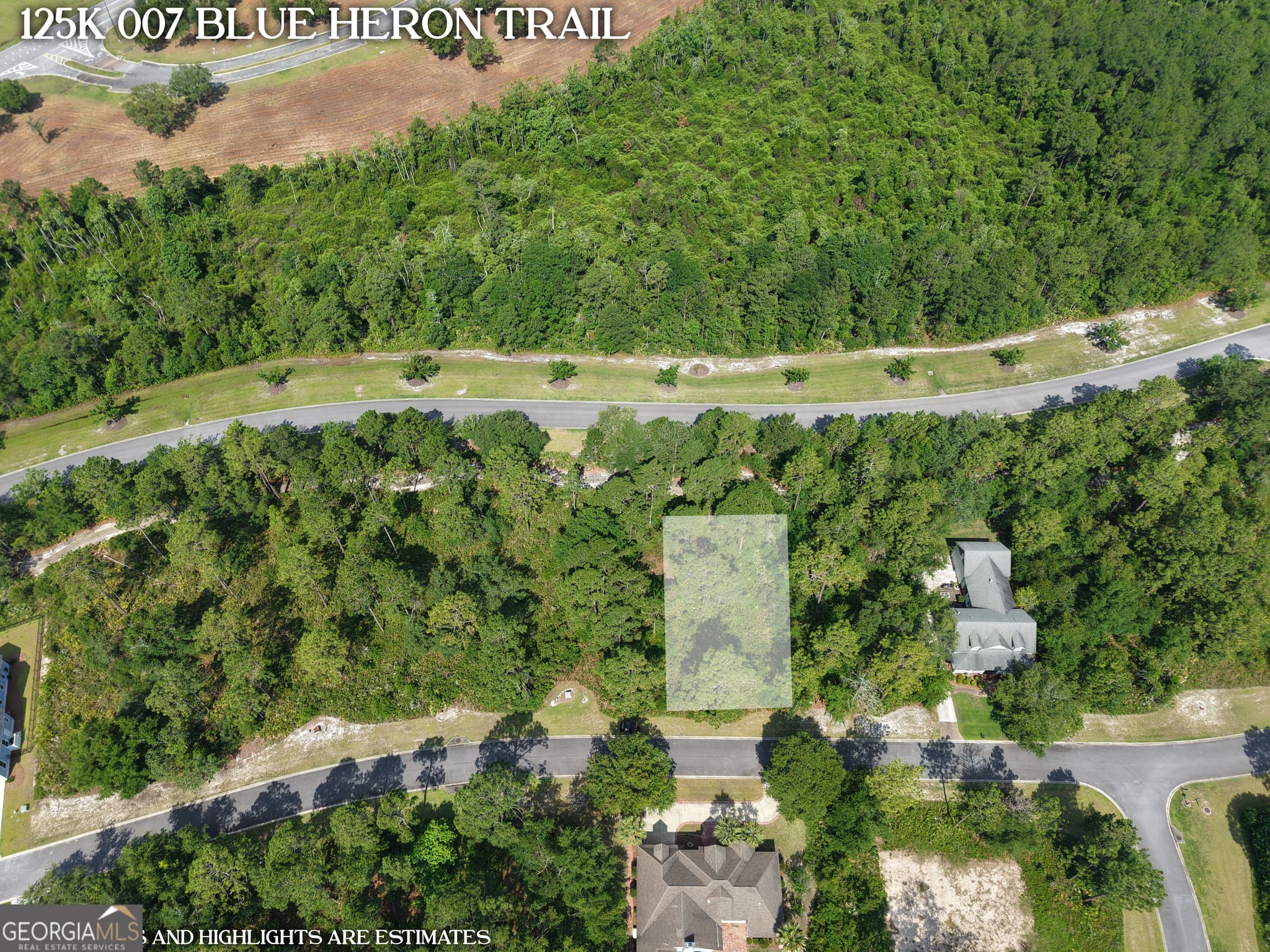 residential lot for sale at LOT 7 Blue Heron Trail, Waverly, GA 31565 — photo 4