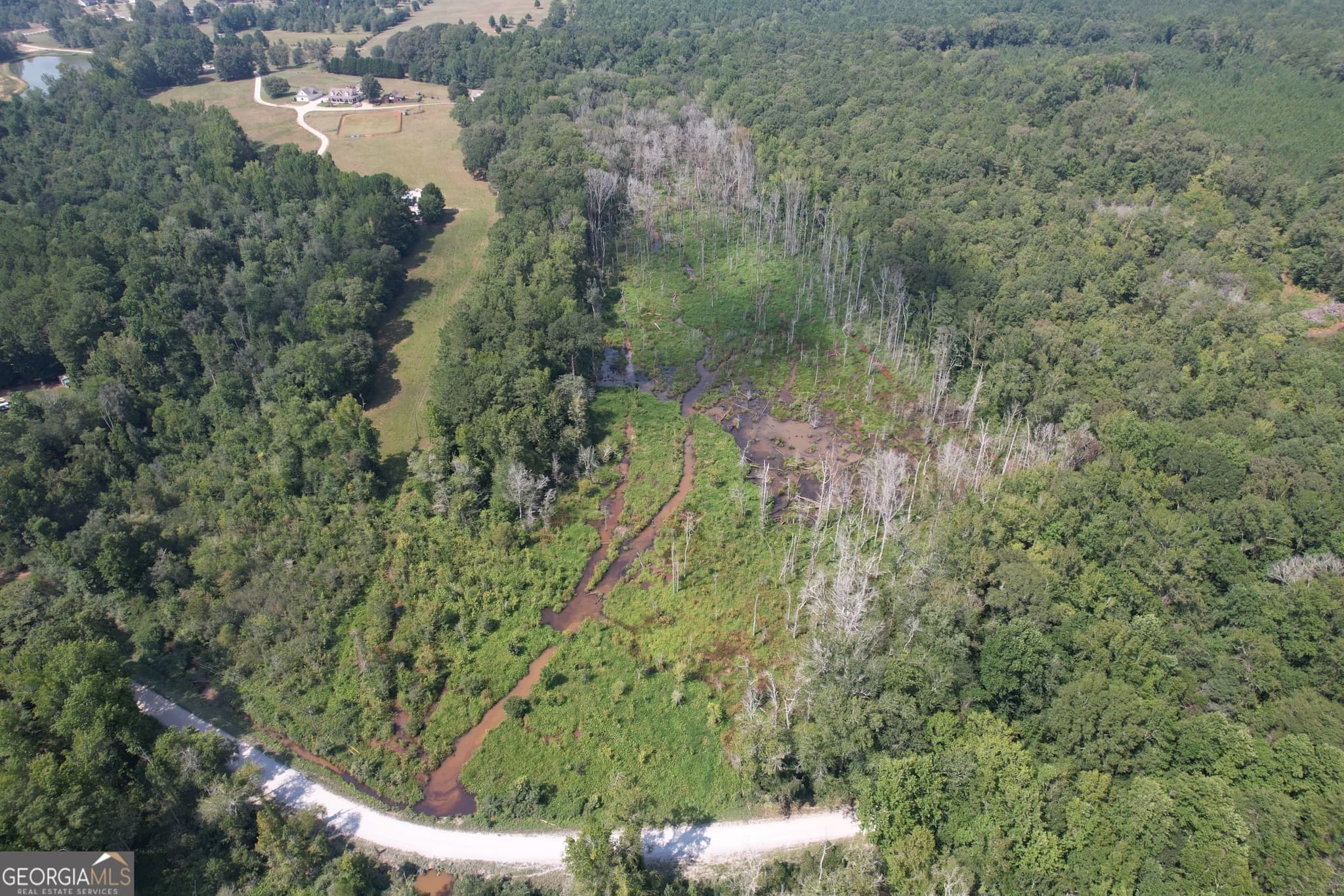 agriculture for sale at TRACT D Hunter Road, Griffin, GA 30224 — photo 2