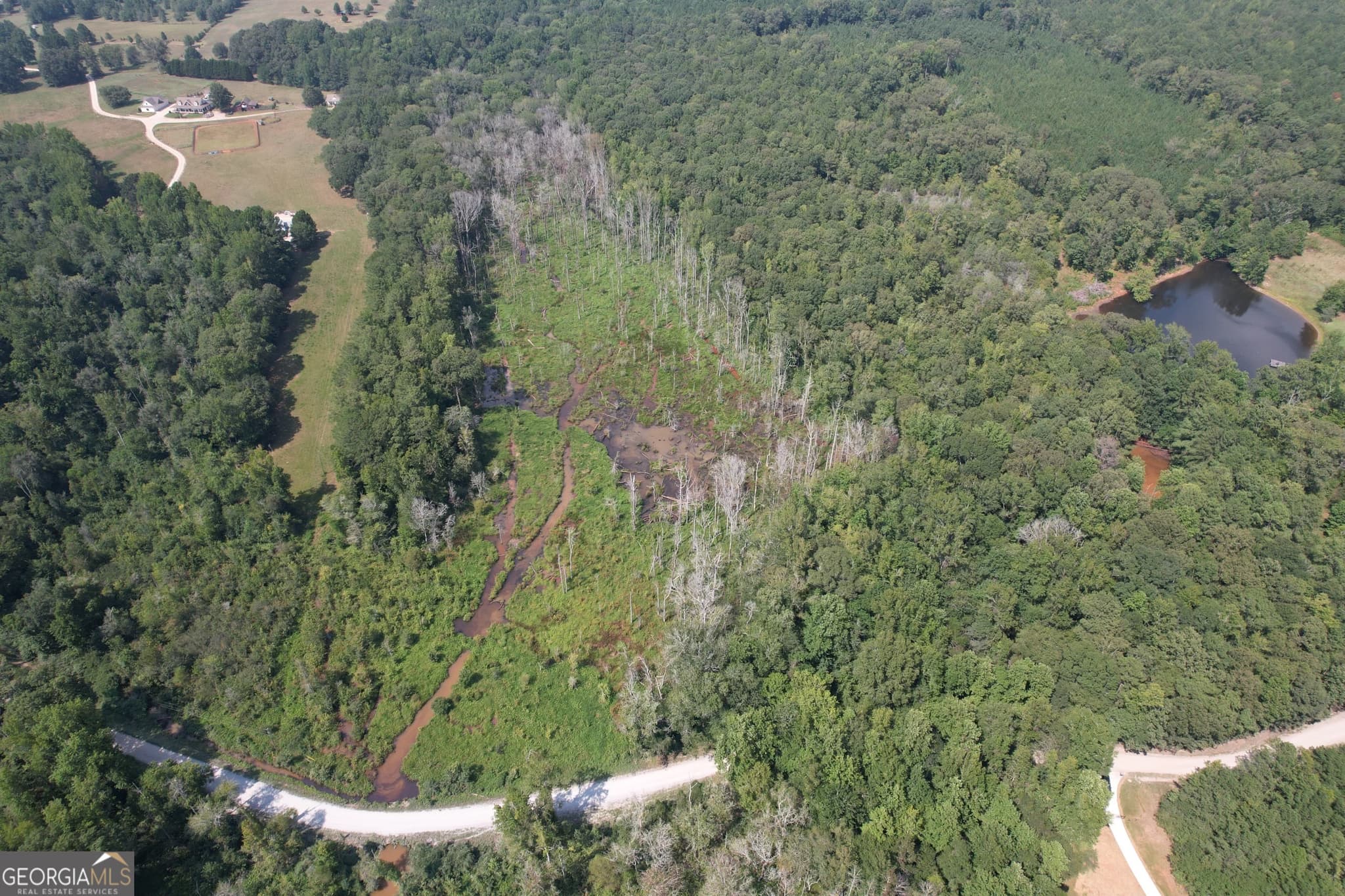 agriculture for sale at TRACT D Hunter Road, Griffin, GA 30224 — photo 7