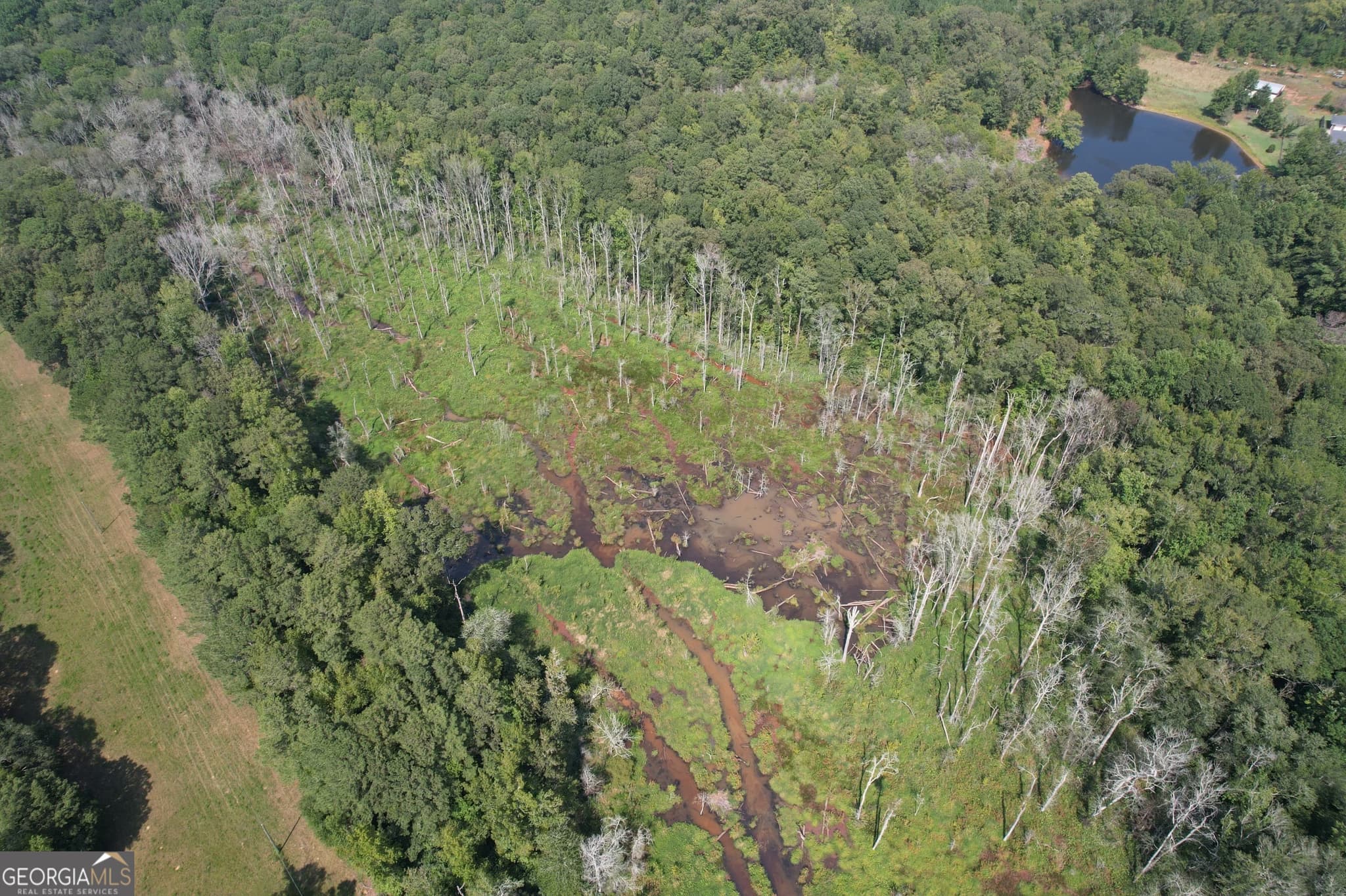 agriculture for sale at TRACT D Hunter Road, Griffin, GA 30224 — photo 3