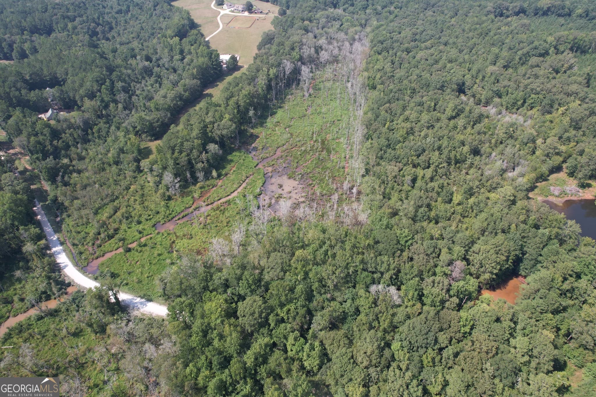 agriculture for sale at TRACT D Hunter Road, Griffin, GA 30224 — photo 5