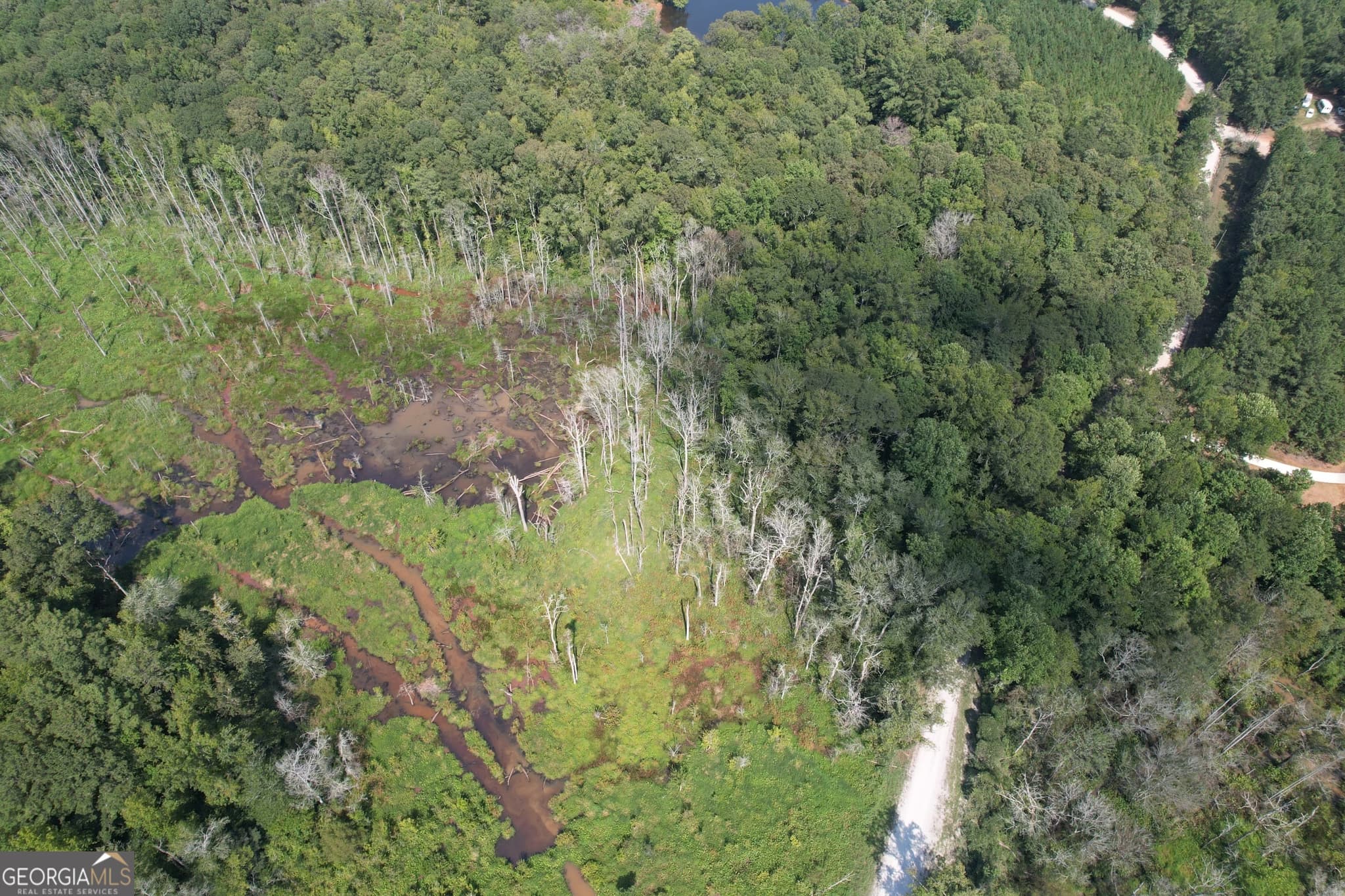 agriculture for sale at TRACT D Hunter Road, Griffin, GA 30224 — photo 4