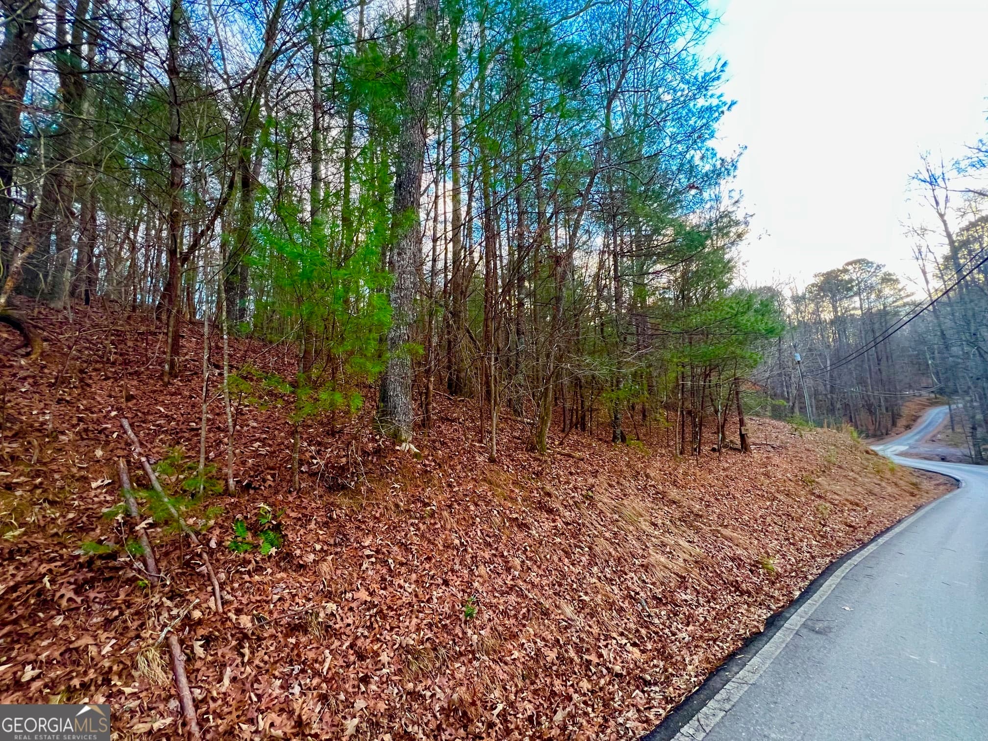 residential lot for sale at 914 Villa Drive, Ellijay, GA 30540 — photo 2
