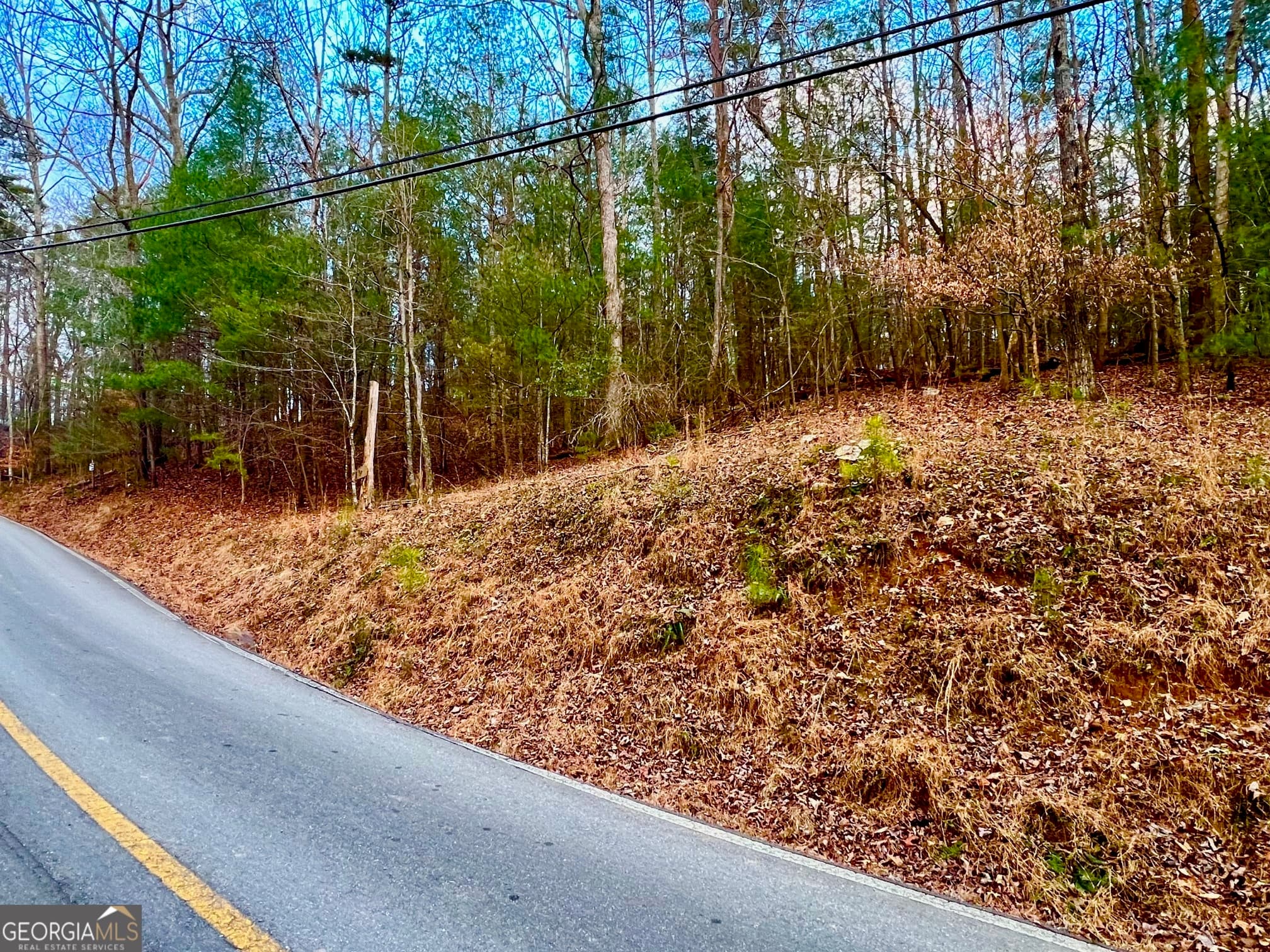 residential lot for sale at 914 Villa Drive, Ellijay, GA 30540 — photo 6