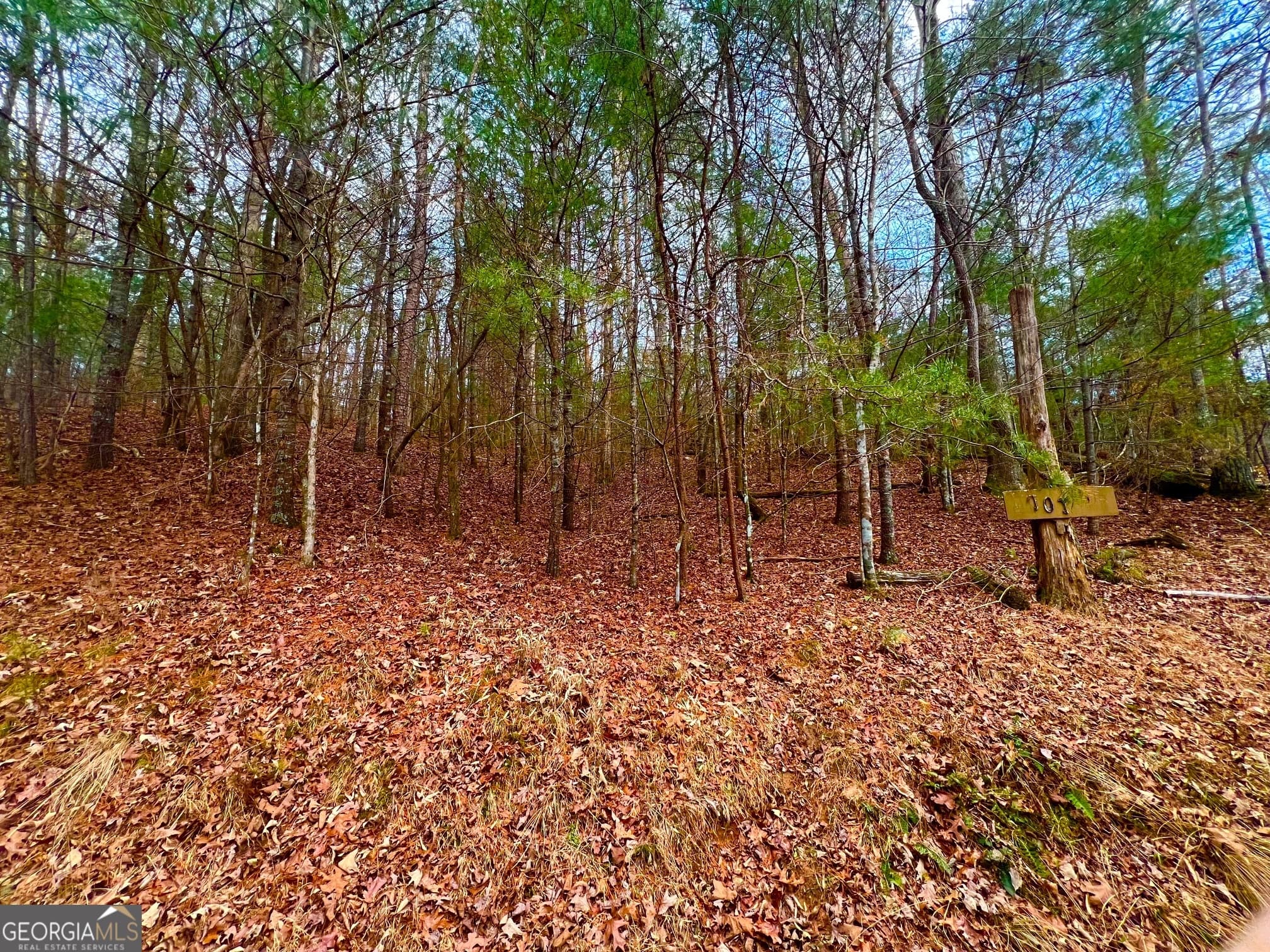 residential lot for sale at 914 Villa Drive, Ellijay, GA 30540 — photo 7