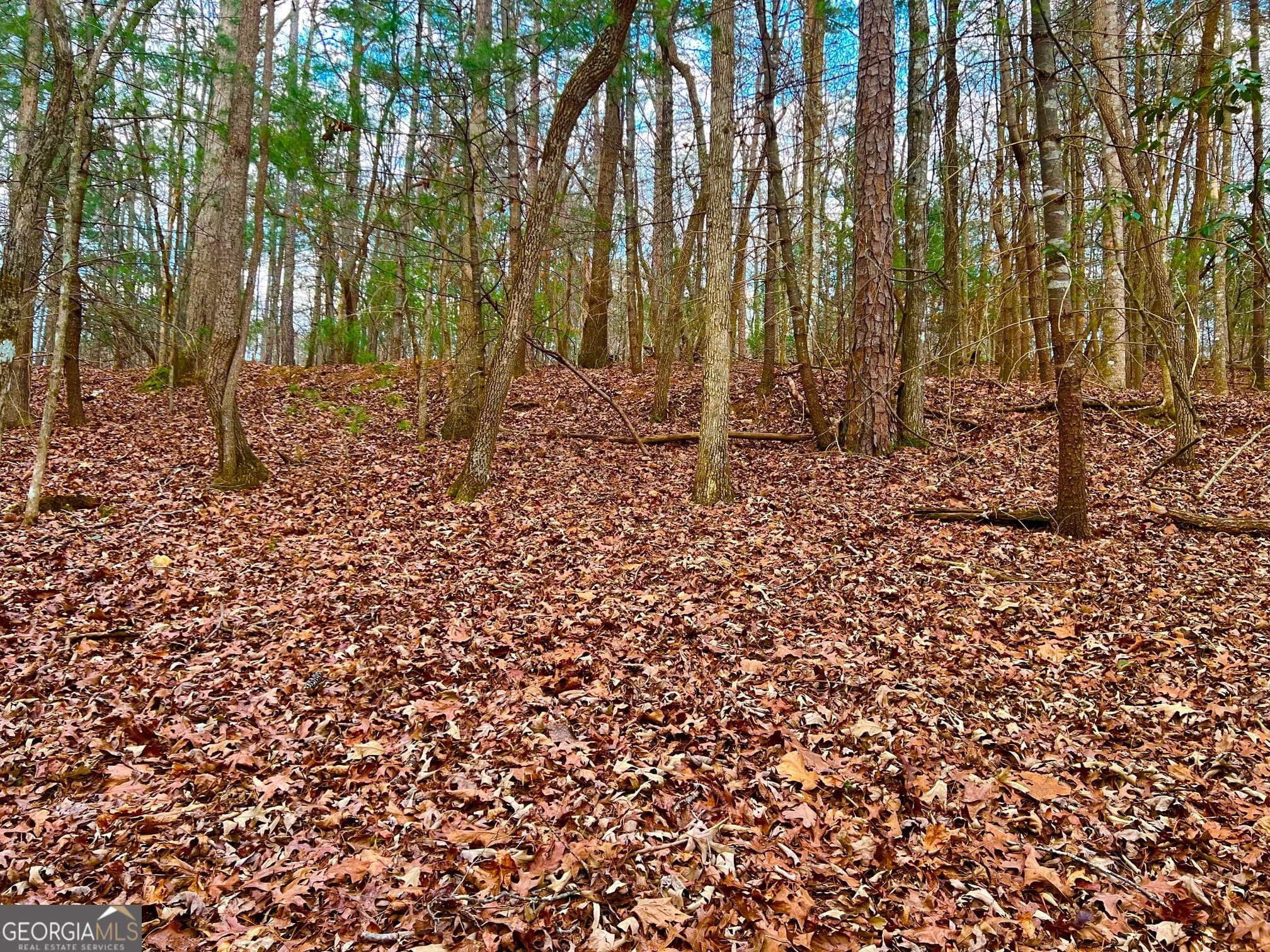 residential lot for sale at 914 Villa Drive, Ellijay, GA 30540 — photo 1 of 40