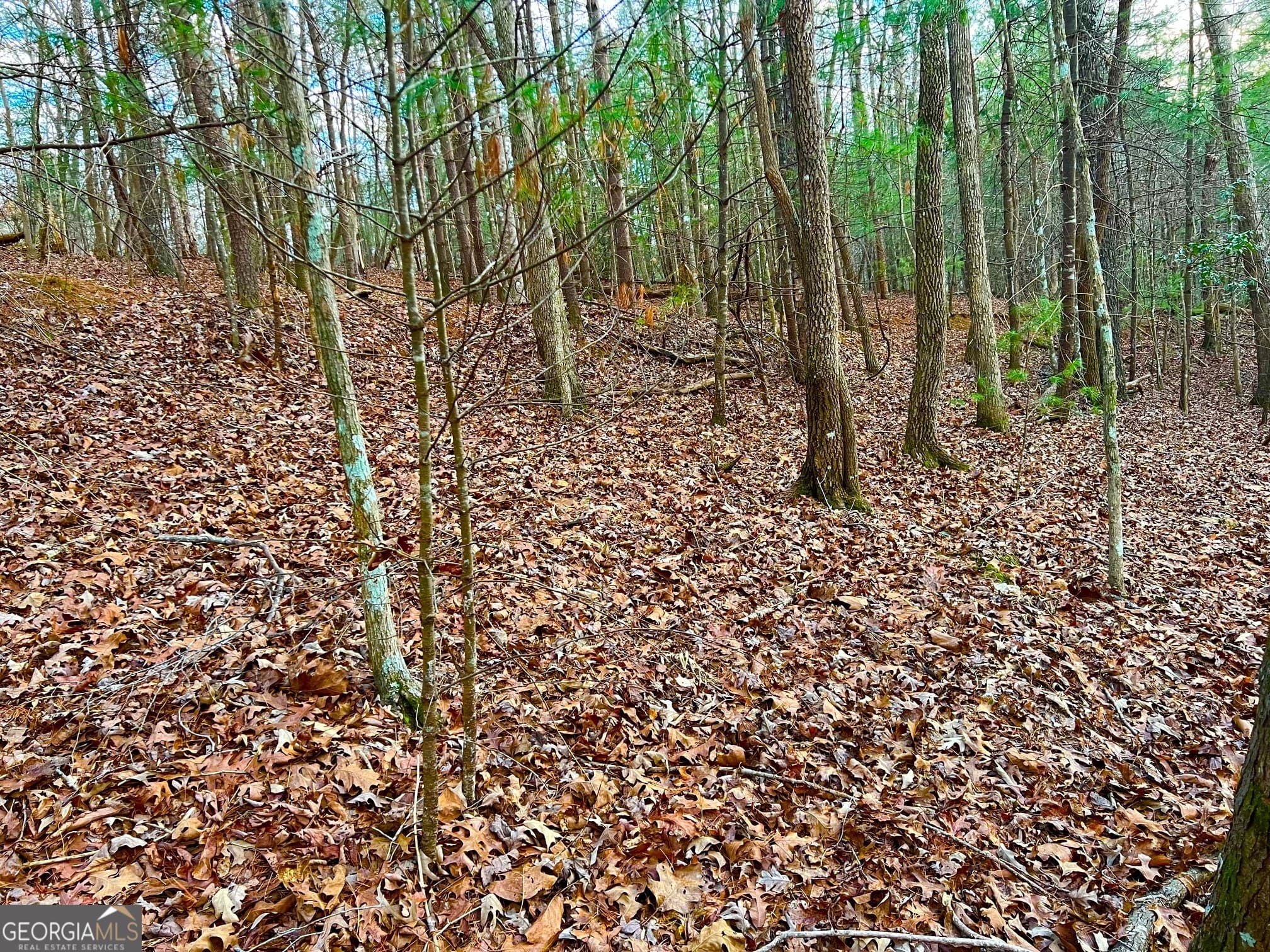 residential lot for sale at 914 Villa Drive, Ellijay, GA 30540 — photo 5