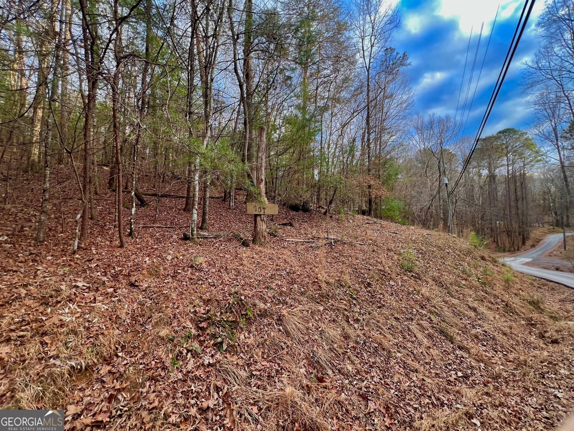 residential lot for sale at 914 Villa Drive, Ellijay, GA 30540 — photo 9
