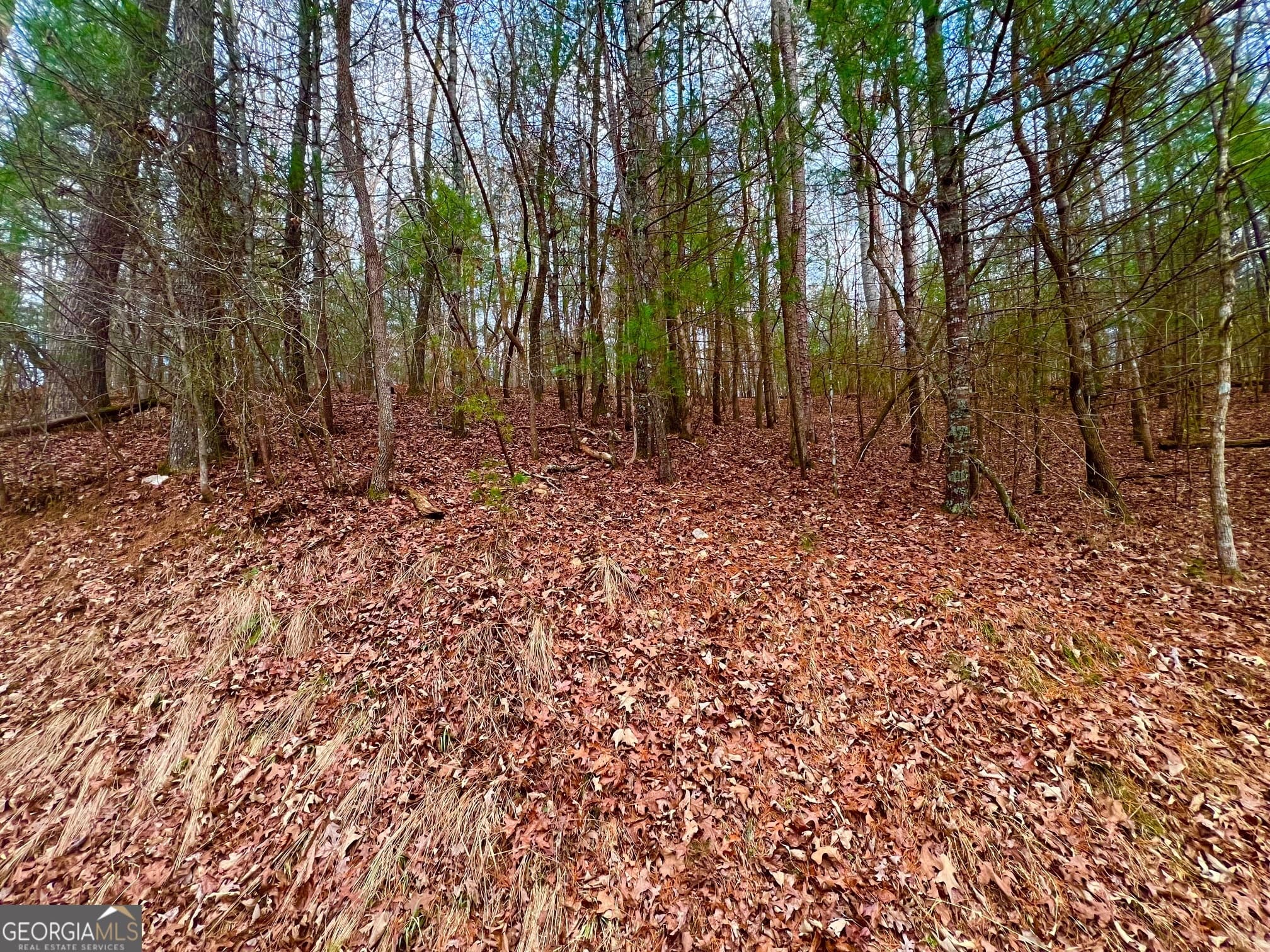 residential lot for sale at 914 Villa Drive, Ellijay, GA 30540 — photo 10