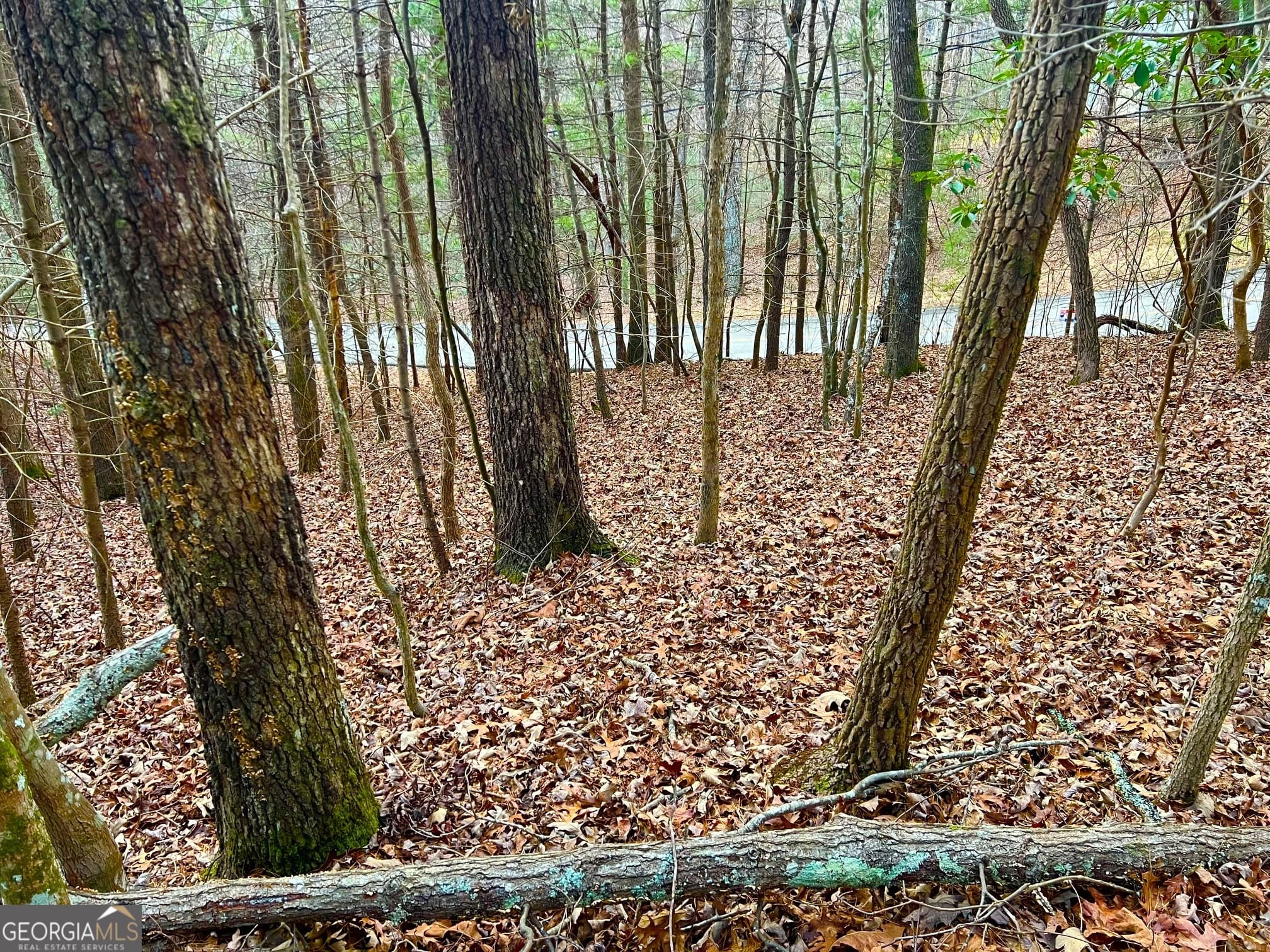 residential lot for sale at 914 Villa Drive, Ellijay, GA 30540 — photo 4