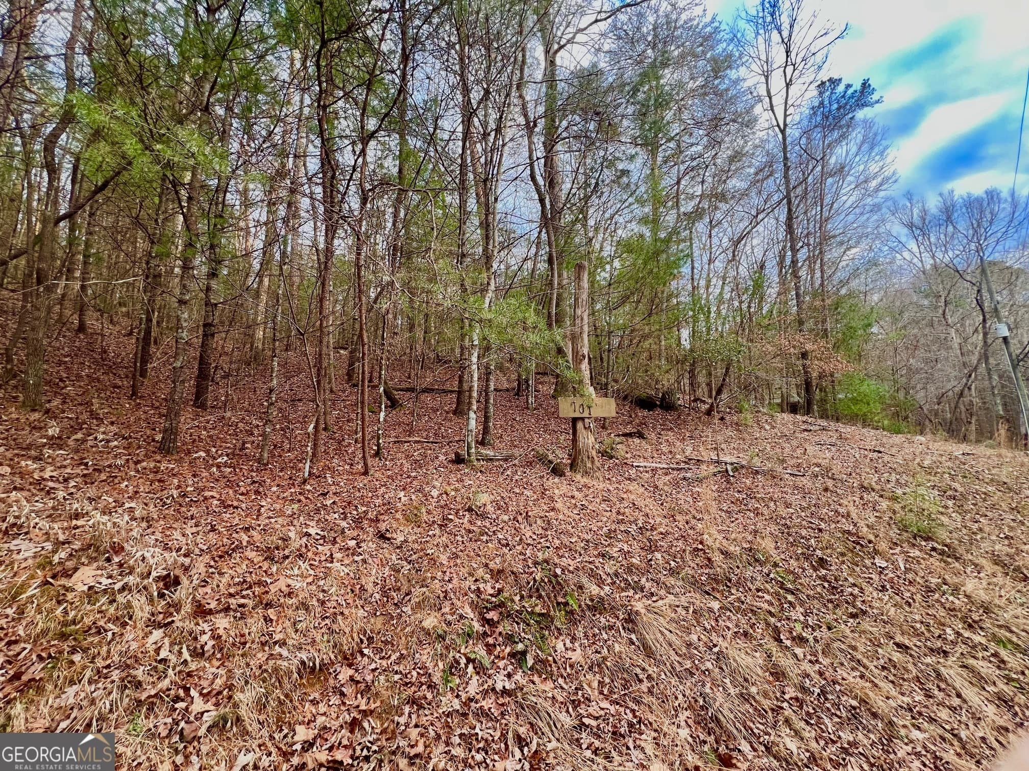 residential lot for sale at 914 Villa Drive, Ellijay, GA 30540 — photo 8