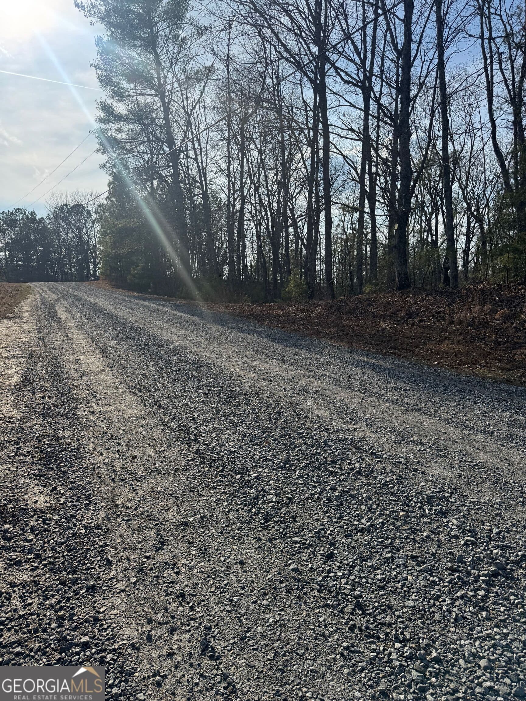 residential lot for sale at 208 Lake Forest Drive, Ellijay, GA 30540 — photo 2