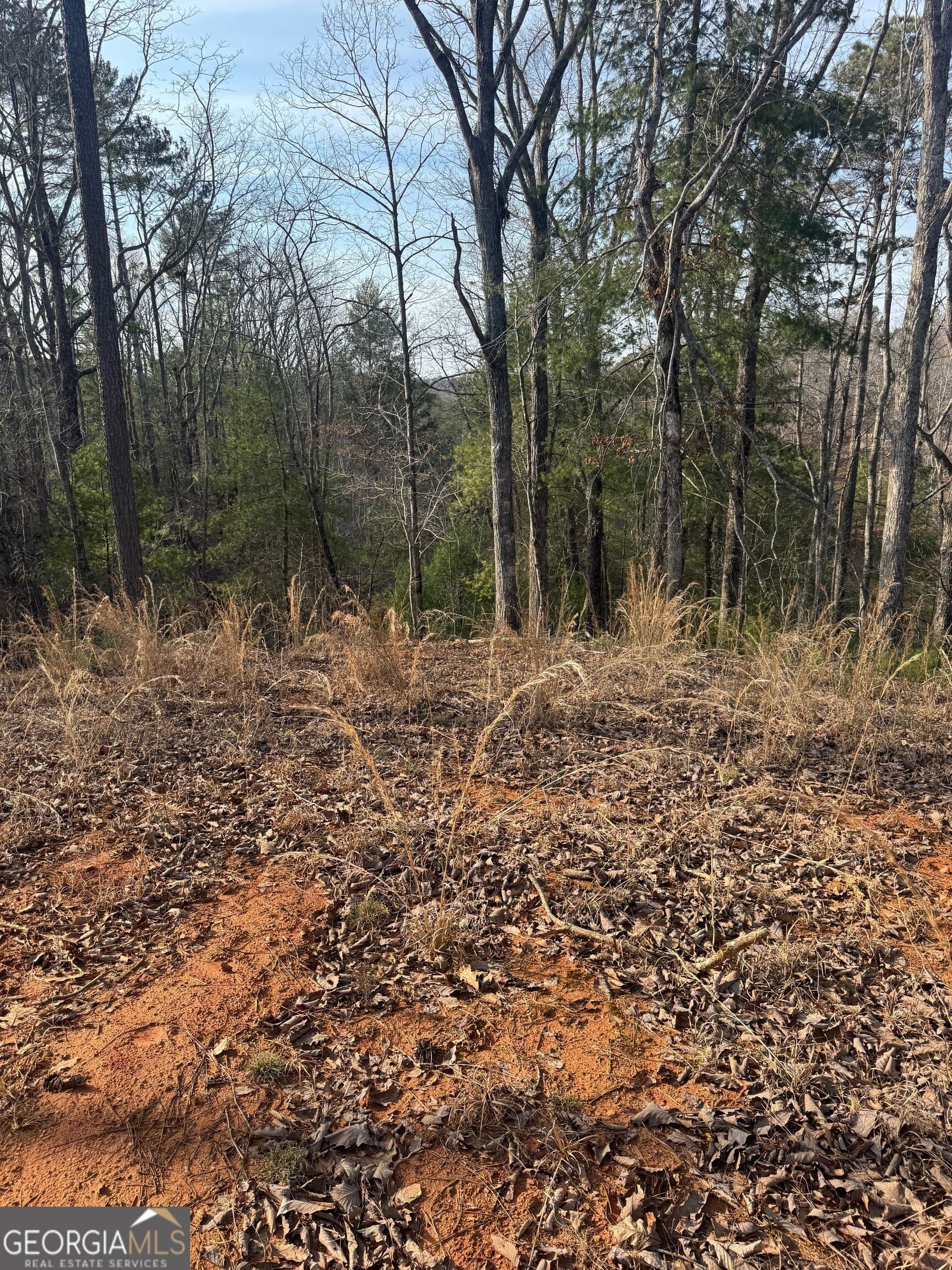 residential lot for sale at 208 Lake Forest Drive, Ellijay, GA 30540 — photo 6