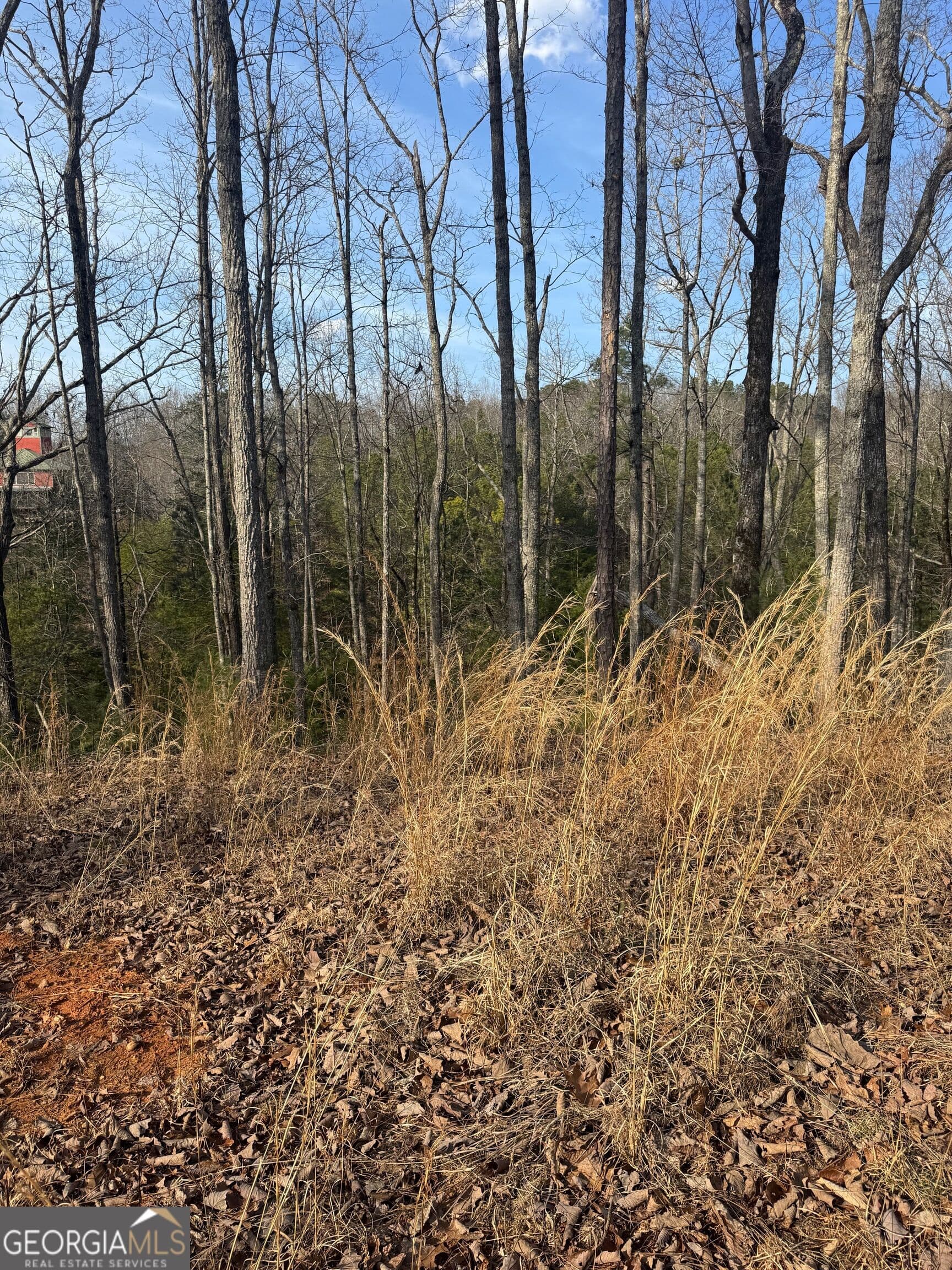 residential lot for sale at 208 Lake Forest Drive, Ellijay, GA 30540 — photo 7