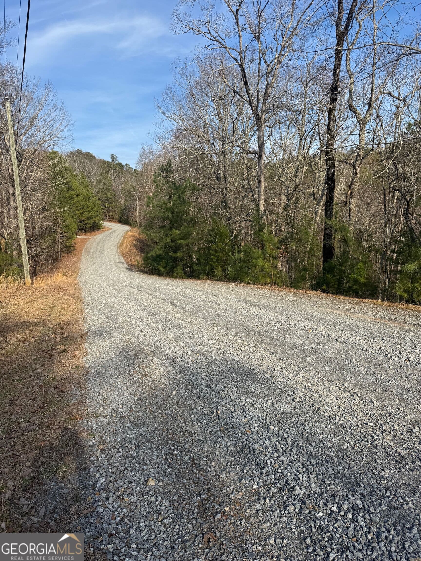 residential lot for sale at 208 Lake Forest Drive, Ellijay, GA 30540 — photo 3