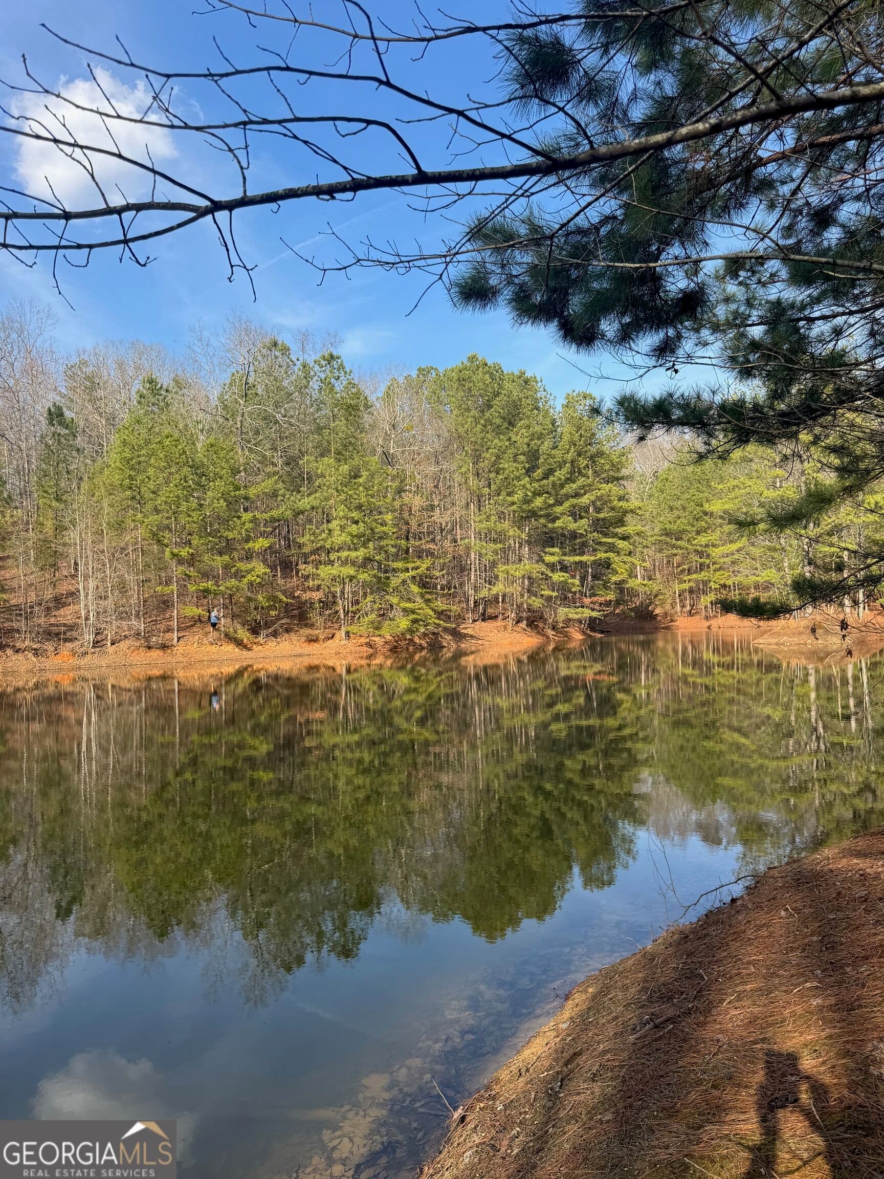 residential lot for sale at 208 Lake Forest Drive, Ellijay, GA 30540 — photo 10
