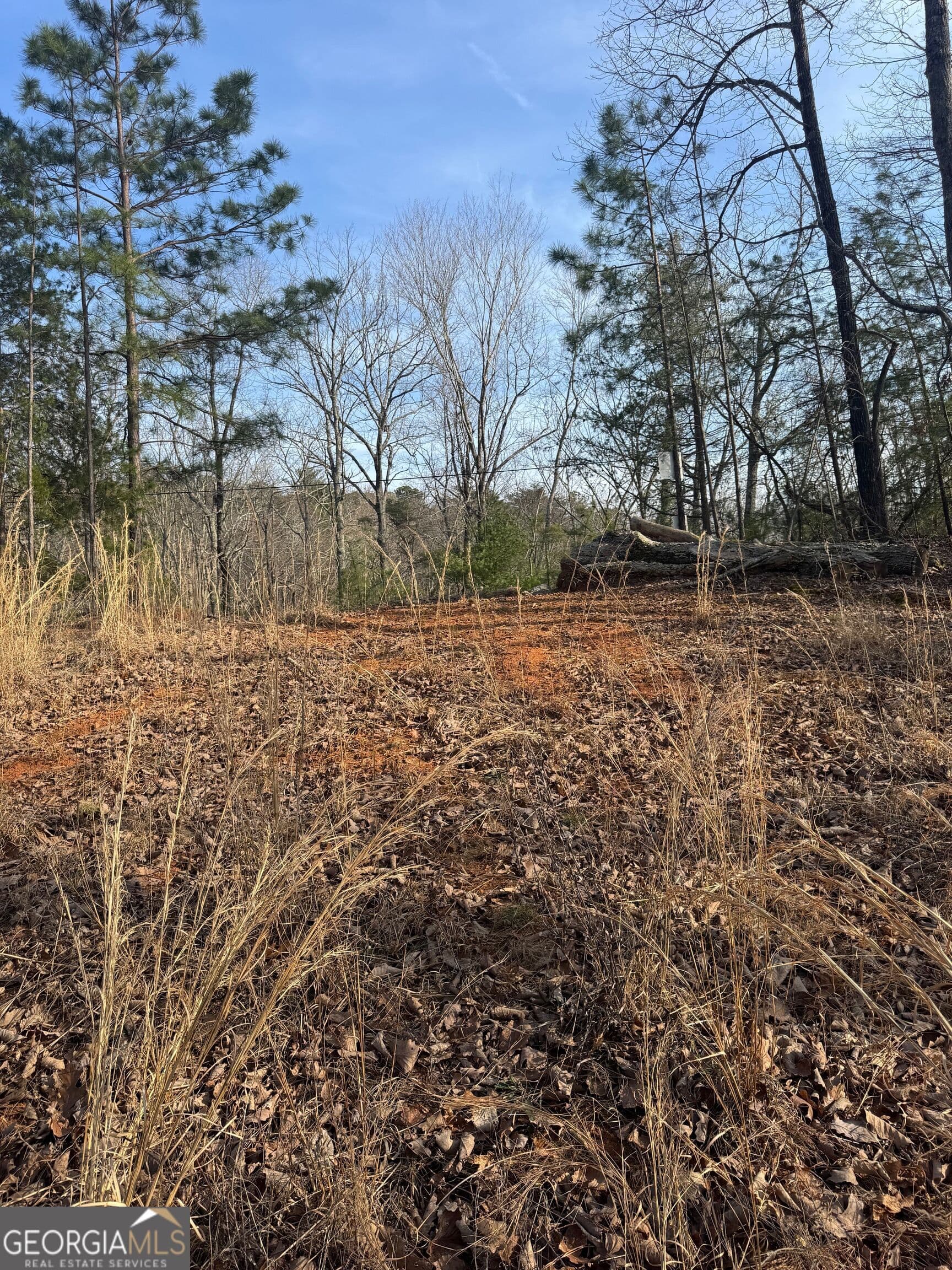 residential lot for sale at 208 Lake Forest Drive, Ellijay, GA 30540 — photo 8