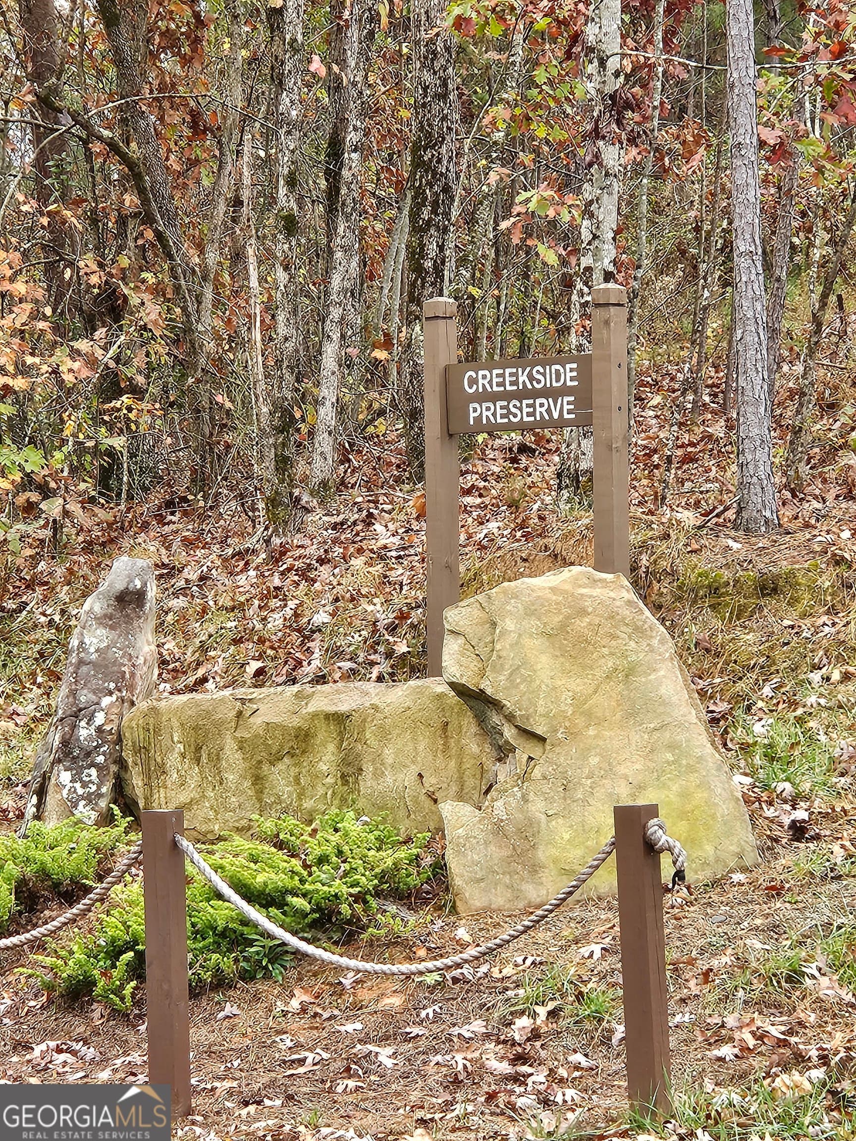 residential lot for sale at 0 Canoe Way, Talking Rock, GA 30175 — photo 4