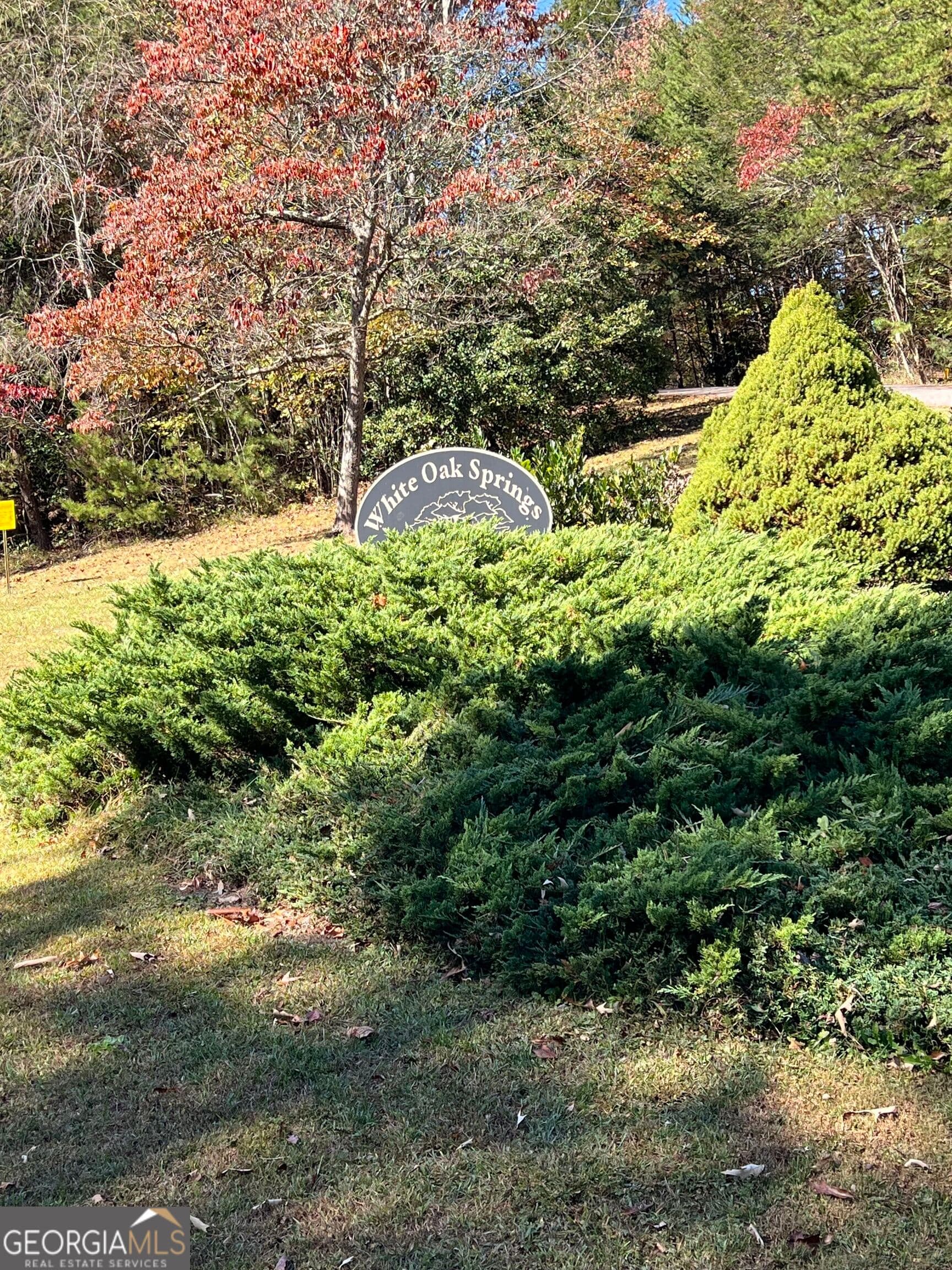 residential lot for sale at LOT 8 Travis Ridge, Blairsville, GA 30512 — photo 3