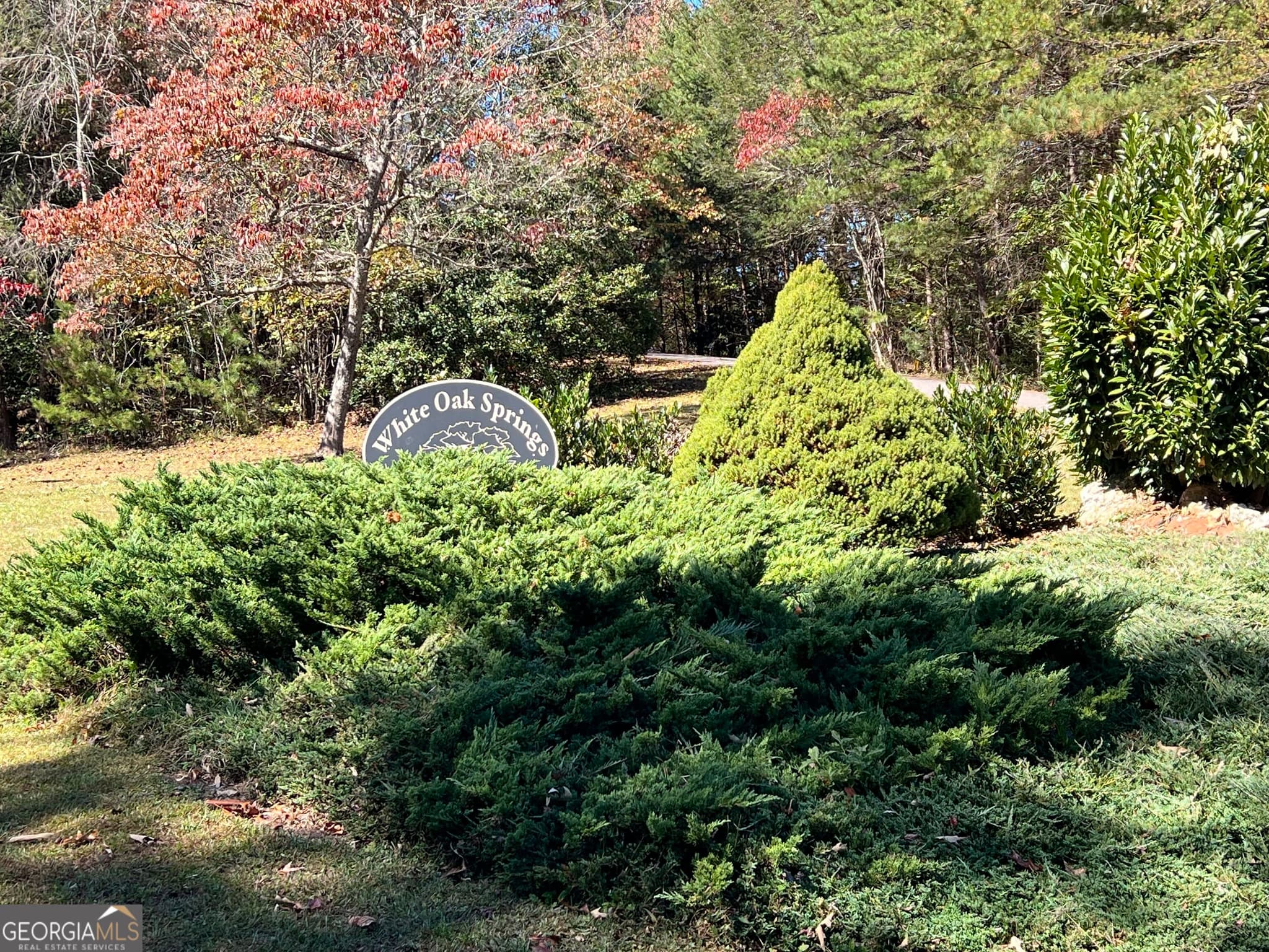 residential lot for sale at LOT 8 Travis Ridge, Blairsville, GA 30512 — photo 1 of 3