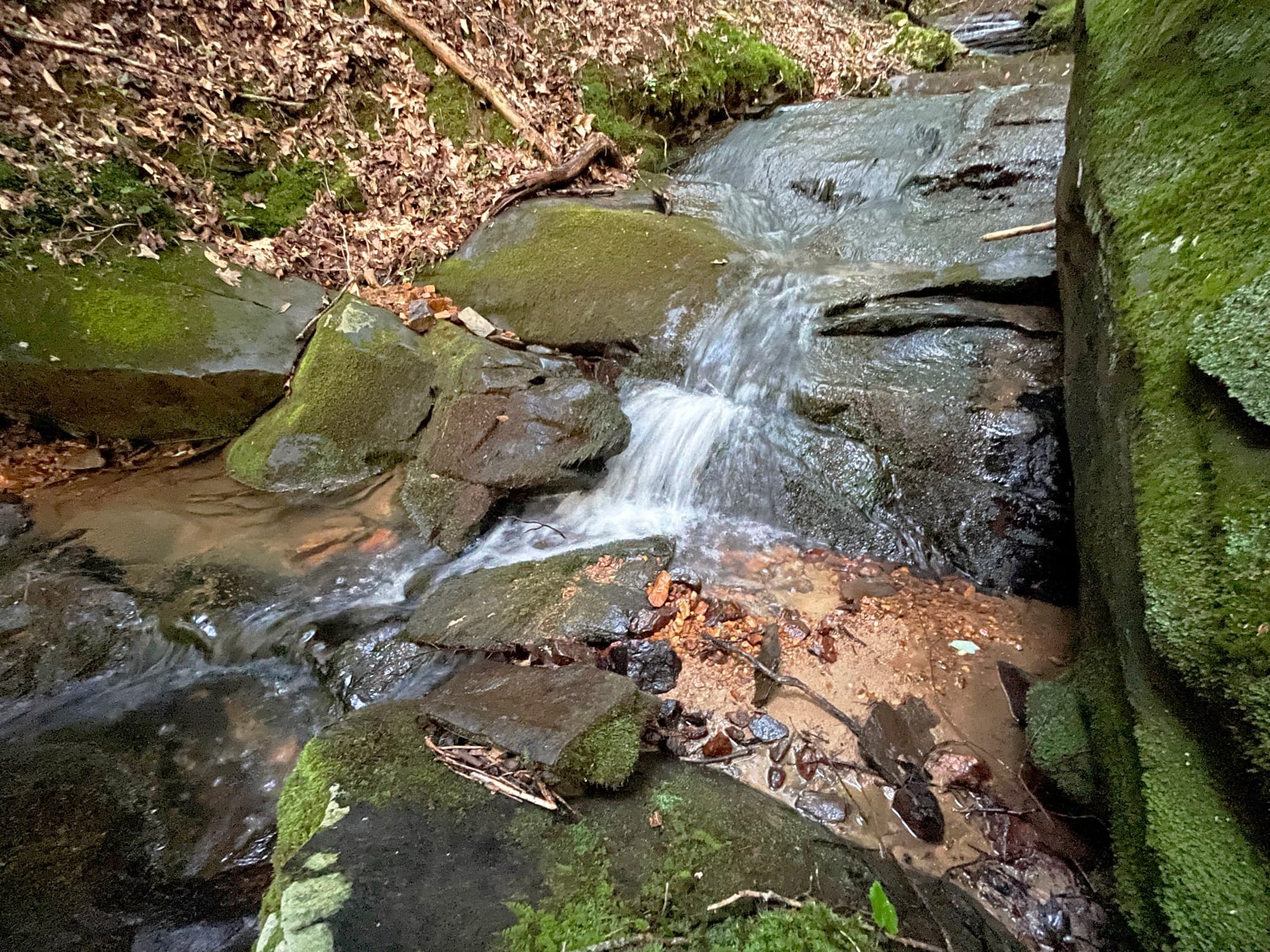 unimproved land for sale at 64 Kristen Lane, Ellijay, GA 30540 — photo 2