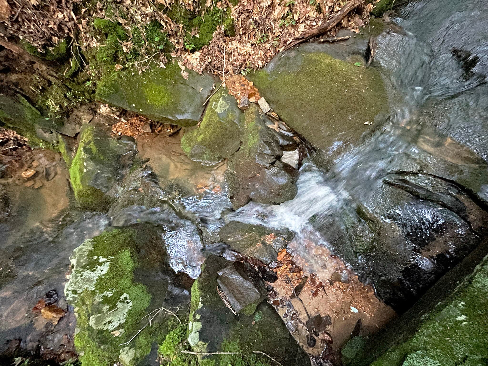 unimproved land for sale at 64 Kristen Lane, Ellijay, GA 30540 — photo 7