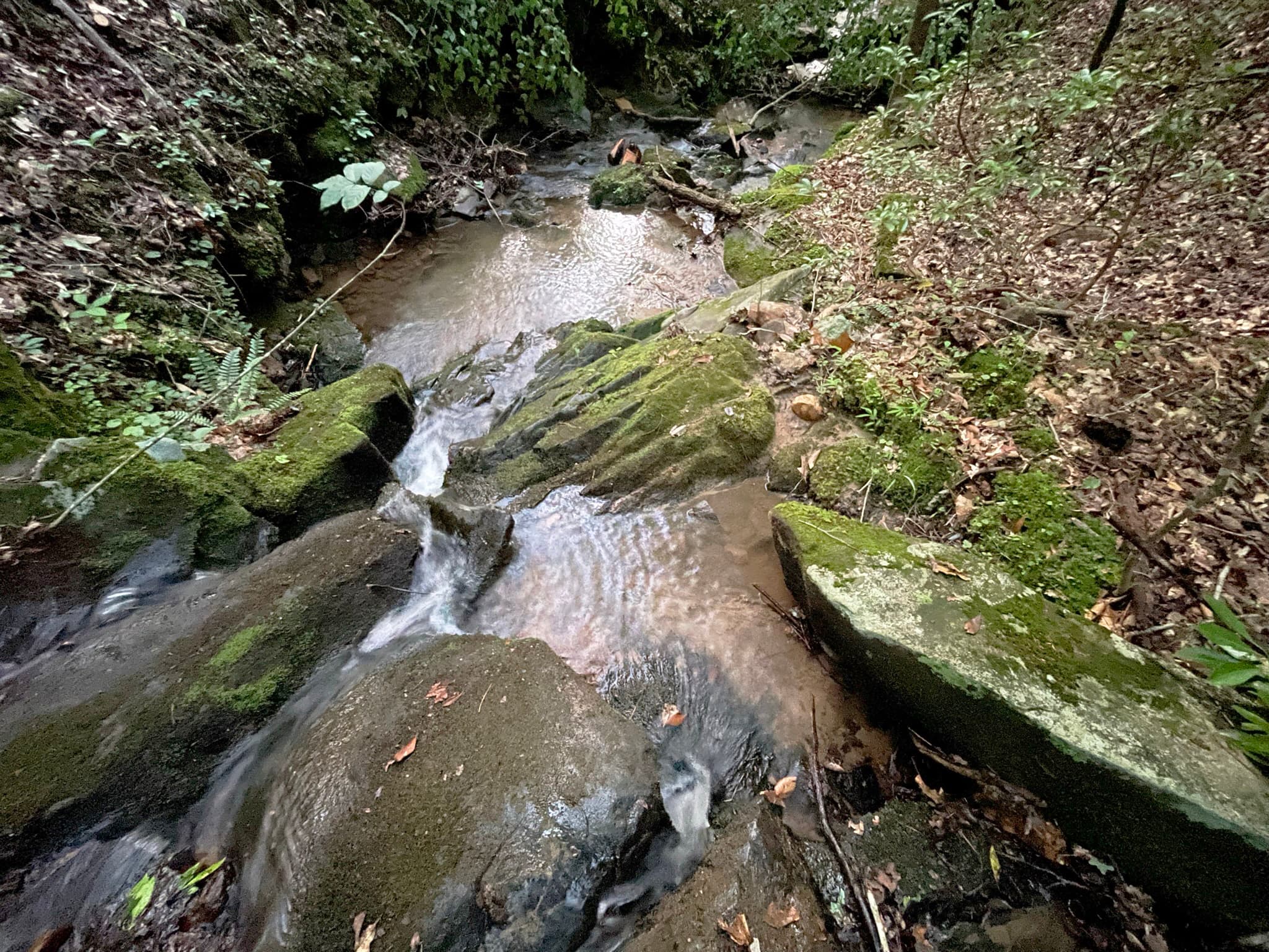 unimproved land for sale at 64 Kristen Lane, Ellijay, GA 30540 — photo 3