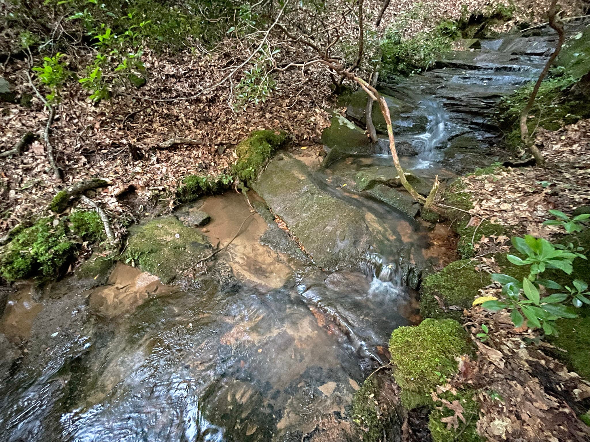 unimproved land for sale at 64 Kristen Lane, Ellijay, GA 30540 — photo 1 of 30