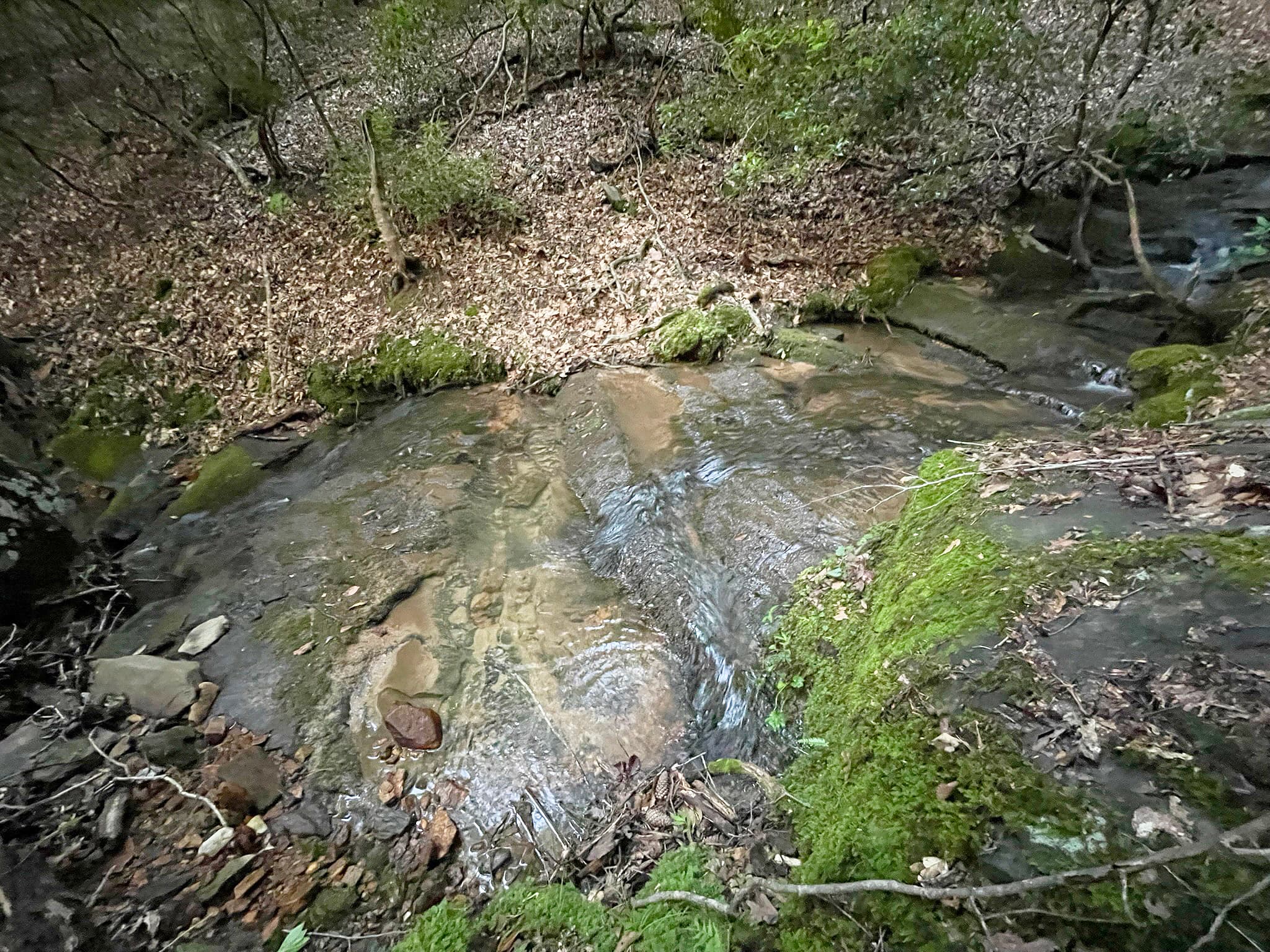 unimproved land for sale at 64 Kristen Lane, Ellijay, GA 30540 — photo 5
