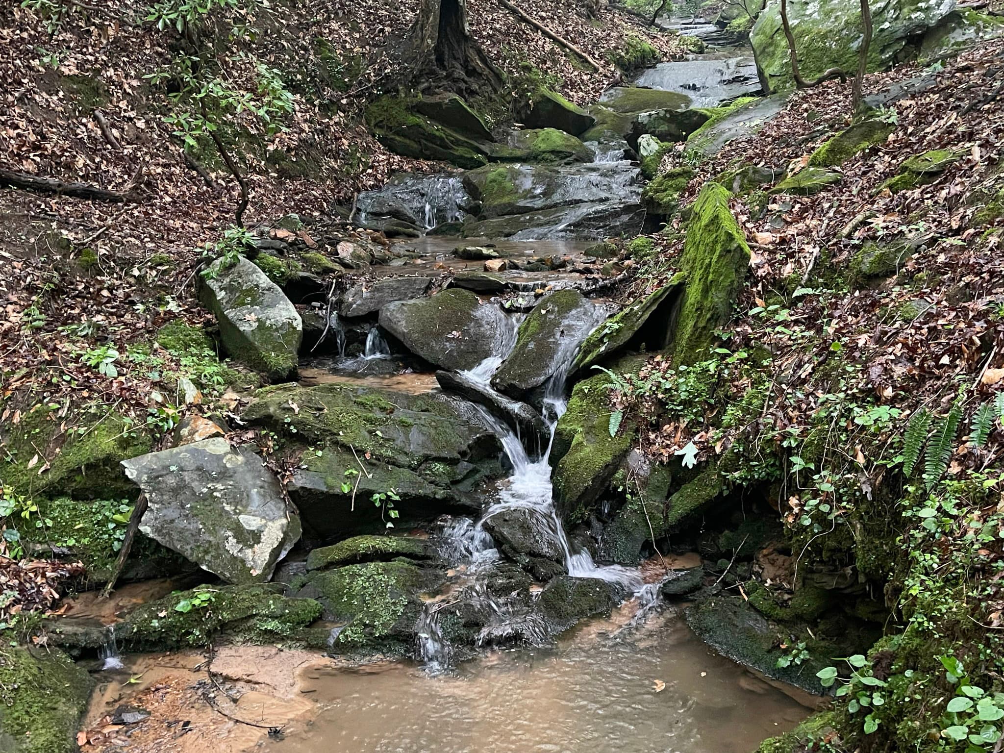 unimproved land for sale at 64 Kristen Lane, Ellijay, GA 30540 — photo 10