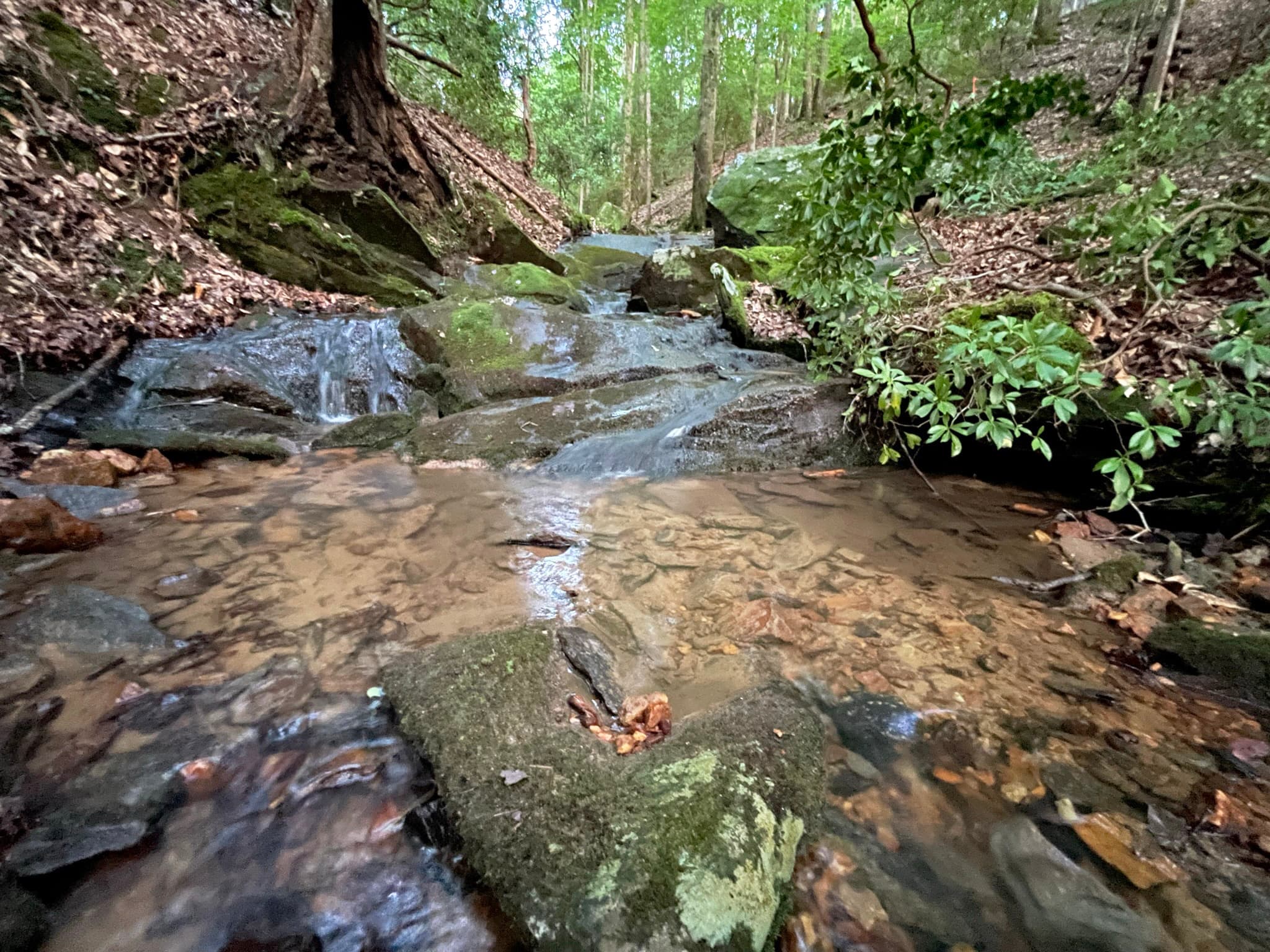 unimproved land for sale at 64 Kristen Lane, Ellijay, GA 30540 — photo 4