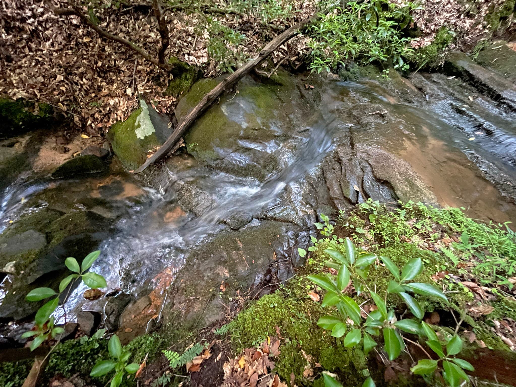 unimproved land for sale at 64 Kristen Lane, Ellijay, GA 30540 — photo 8