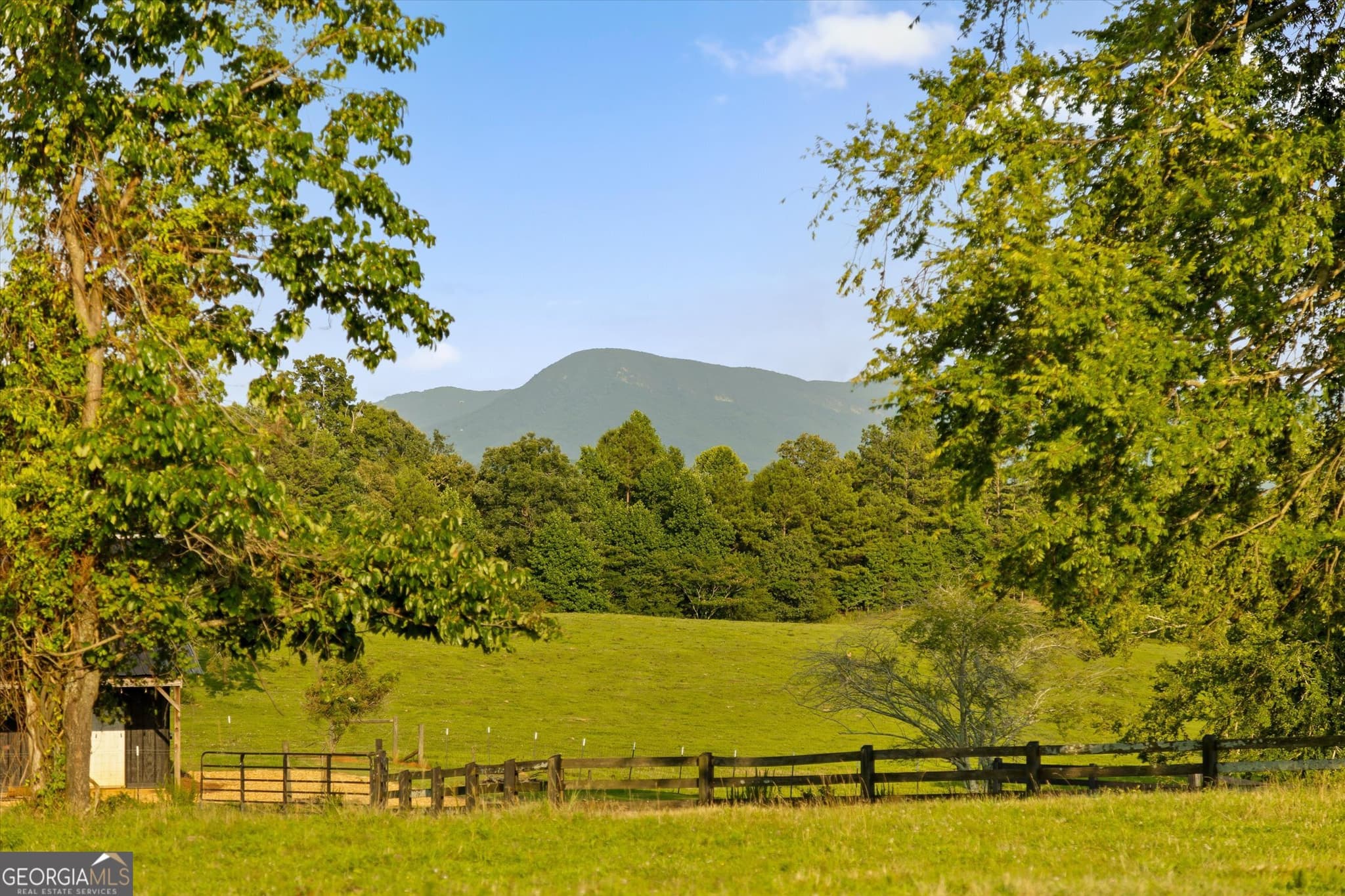 4 bedroom, 3.5 bathroom, 4,500 sq ft farm for sale at 3905 Highway 286, Chatsworth, GA 30705 — photo 10