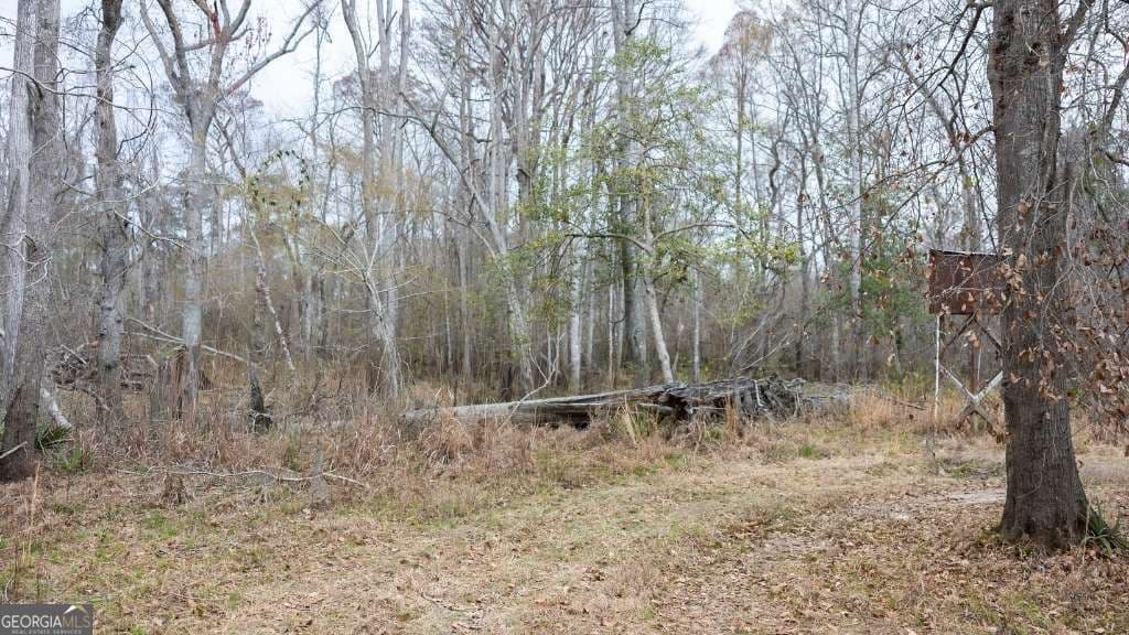 2 bedroom, 1 bathroom, 1,032 sq ft cabin,single family residence for sale at 5230 Coleman Bridge SPUR, Cobbtown, GA 30420 — photo 6