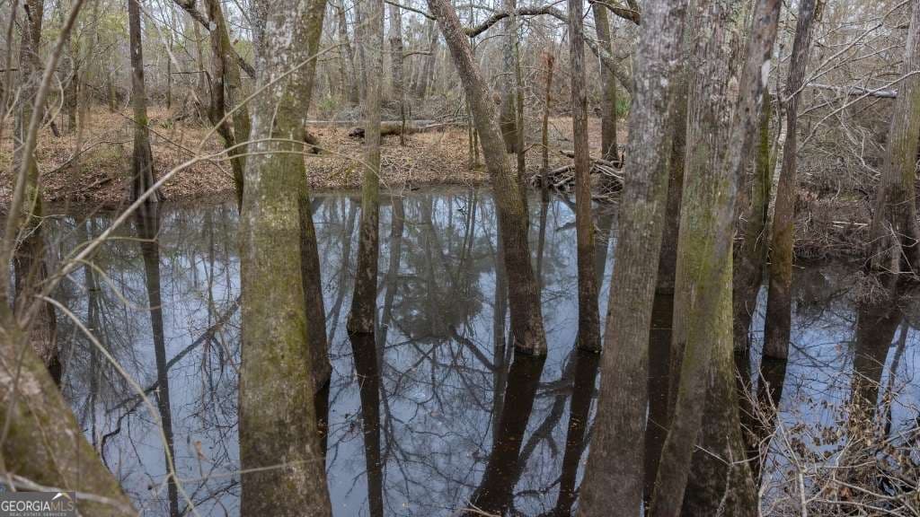 2 bedroom, 1 bathroom, 1,032 sq ft cabin,single family residence for sale at 5230 Coleman Bridge SPUR, Cobbtown, GA 30420 — photo 7