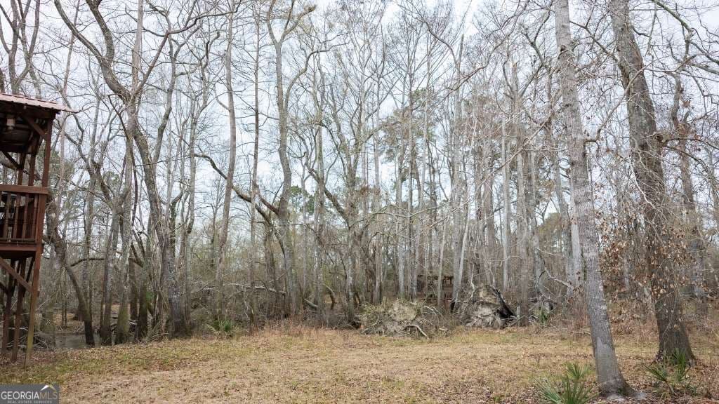 2 bedroom, 1 bathroom, 1,032 sq ft cabin,single family residence for sale at 5230 Coleman Bridge SPUR, Cobbtown, GA 30420 — photo 5