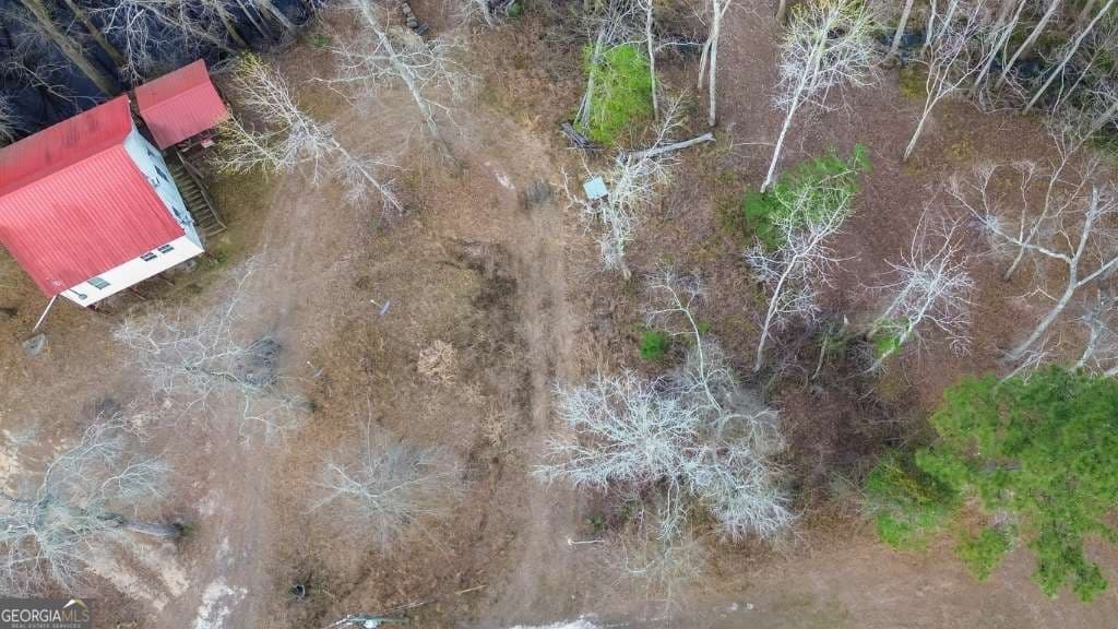 2 bedroom, 1 bathroom, 1,032 sq ft cabin,single family residence for sale at 5230 Coleman Bridge SPUR, Cobbtown, GA 30420 — photo 4
