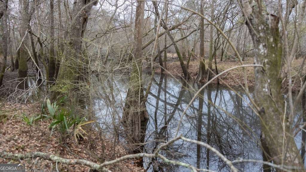 2 bedroom, 1 bathroom, 1,032 sq ft cabin,single family residence for sale at 5230 Coleman Bridge SPUR, Cobbtown, GA 30420 — photo 8