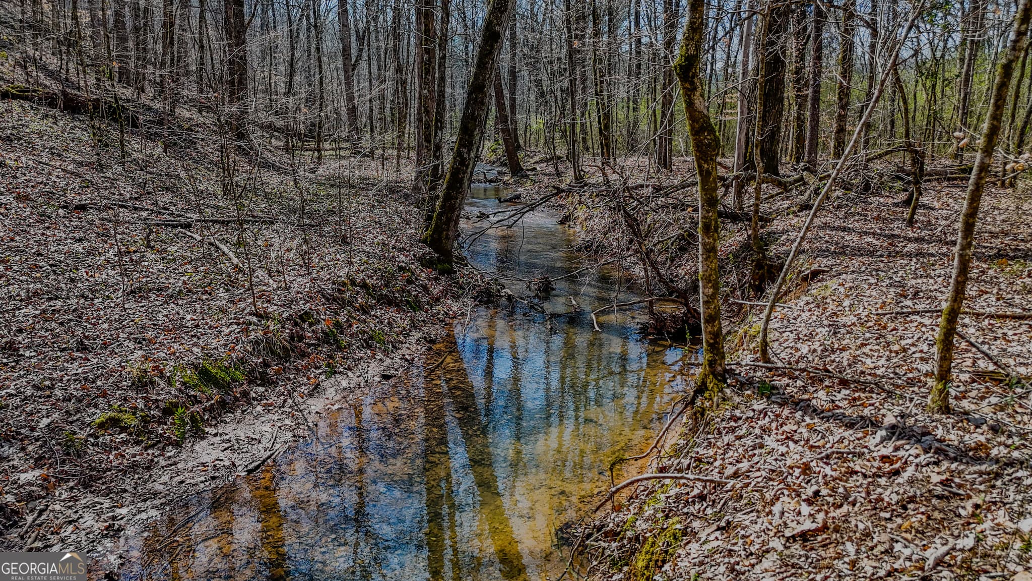 agriculture for sale at 34 ACRES Halls Valley, Rome, GA 30165 — photo 2