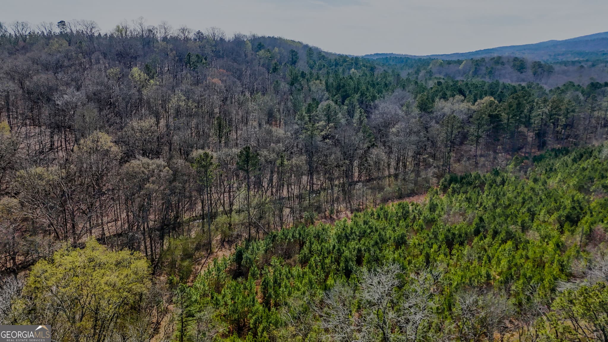 agriculture for sale at 34 ACRES Halls Valley, Rome, GA 30165 — photo 3