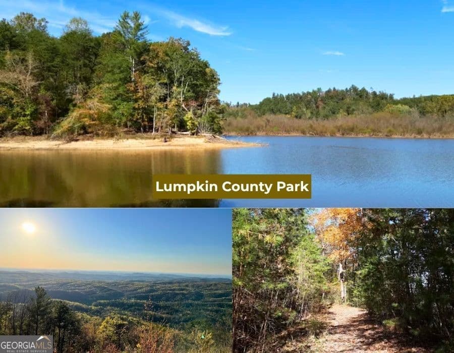 residential lot for sale at 0 Hickory Ridge Court, Dawsonville, GA 30534 — photo 10