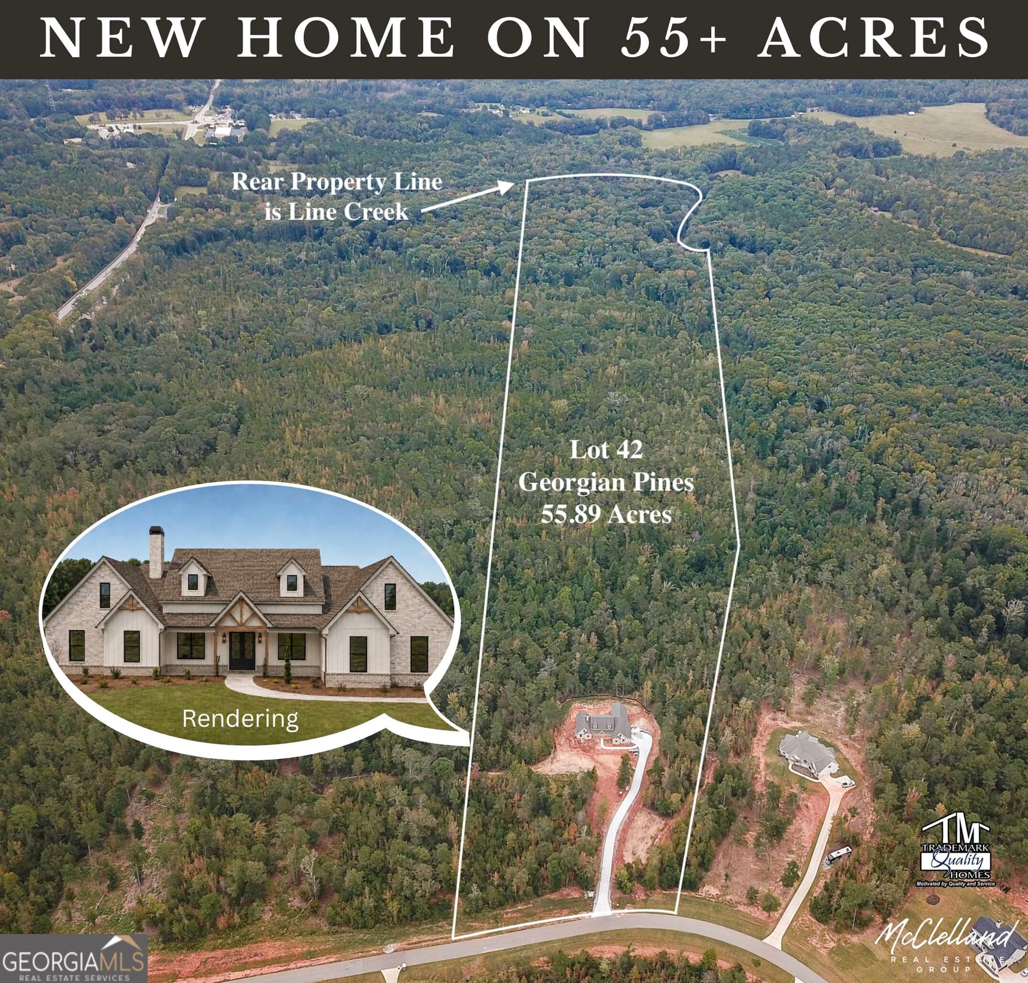 4 bedroom, 3.5 bathroom, 3,253 sq ft single family residence for sale at LOT #42 Starlight Drive, Senoia, GA 30276 — photo 1 of 15