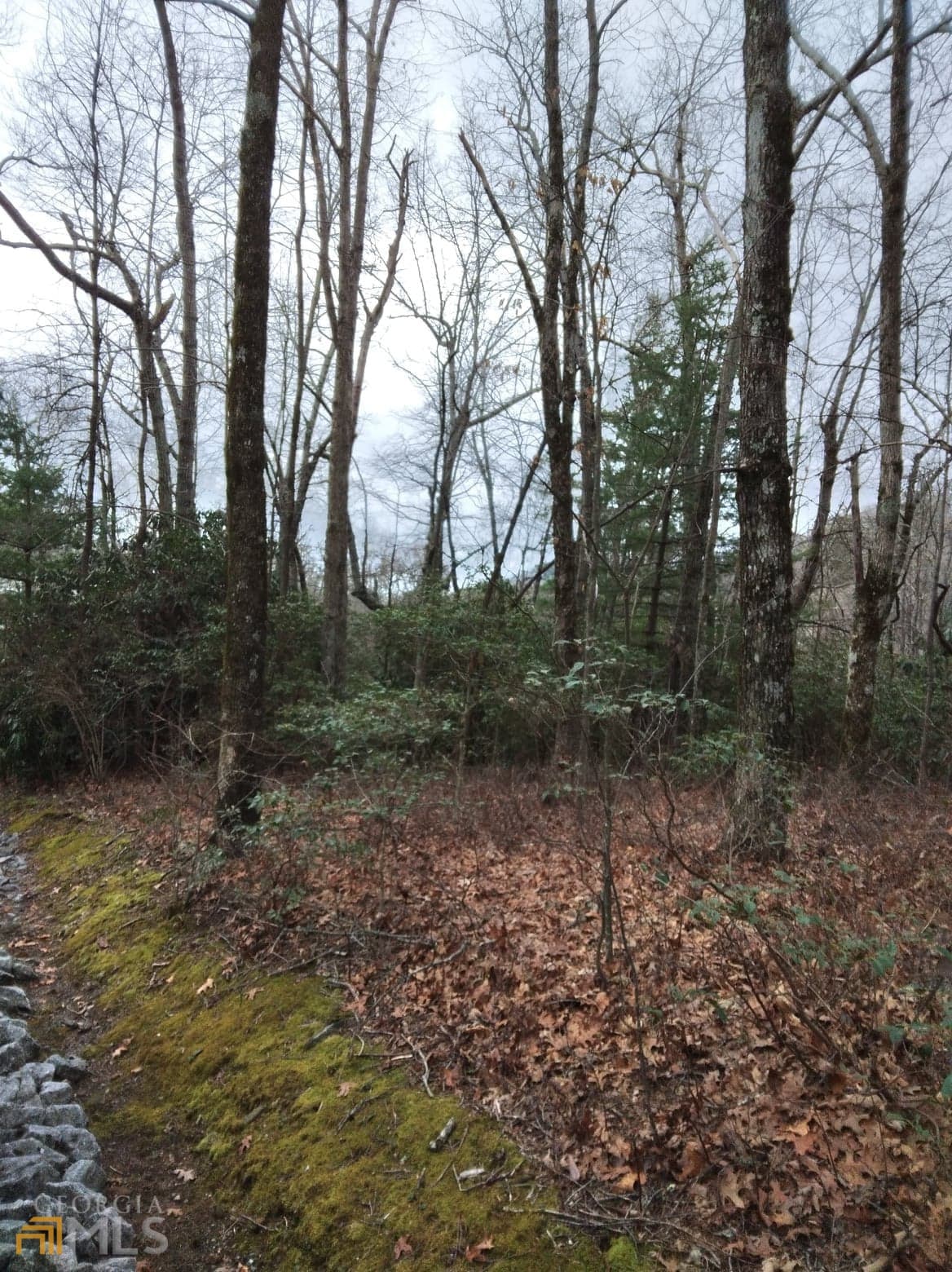residential lot for sale at 0 LOT 10 & 11 Honey Bear LOT 10 & 11, Dillard, GA 30537 — photo 2
