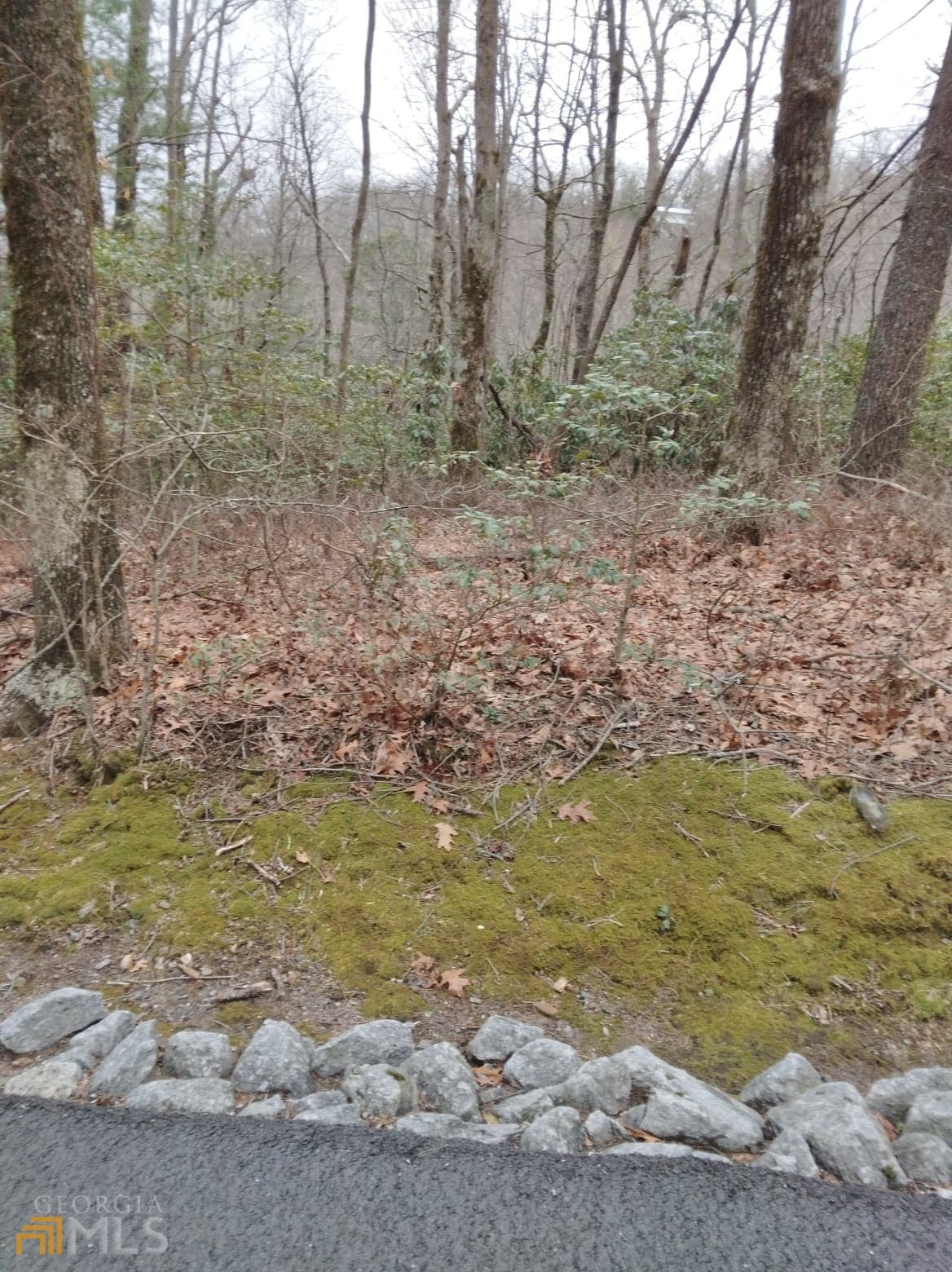 residential lot for sale at 0 LOT 10 & 11 Honey Bear LOT 10 & 11, Dillard, GA 30537 — photo 3