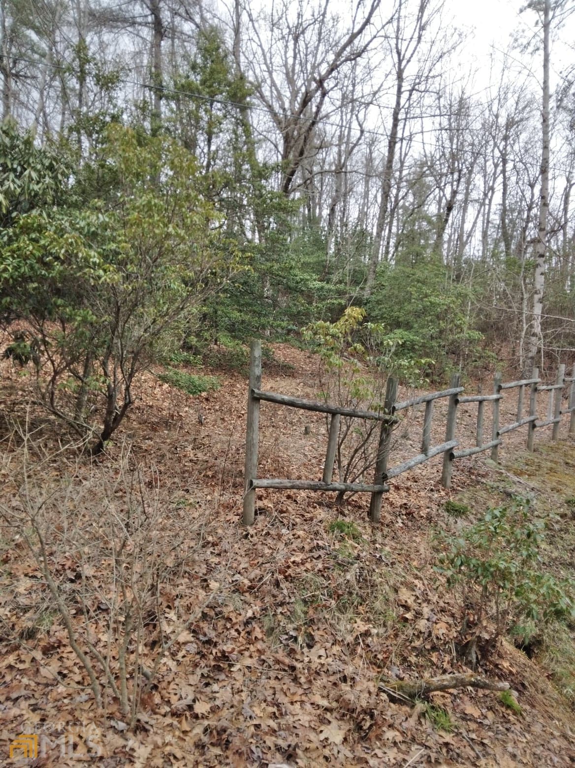 residential lot for sale at 0 LOT 10 & 11 Honey Bear LOT 10 & 11, Dillard, GA 30537 — photo 5