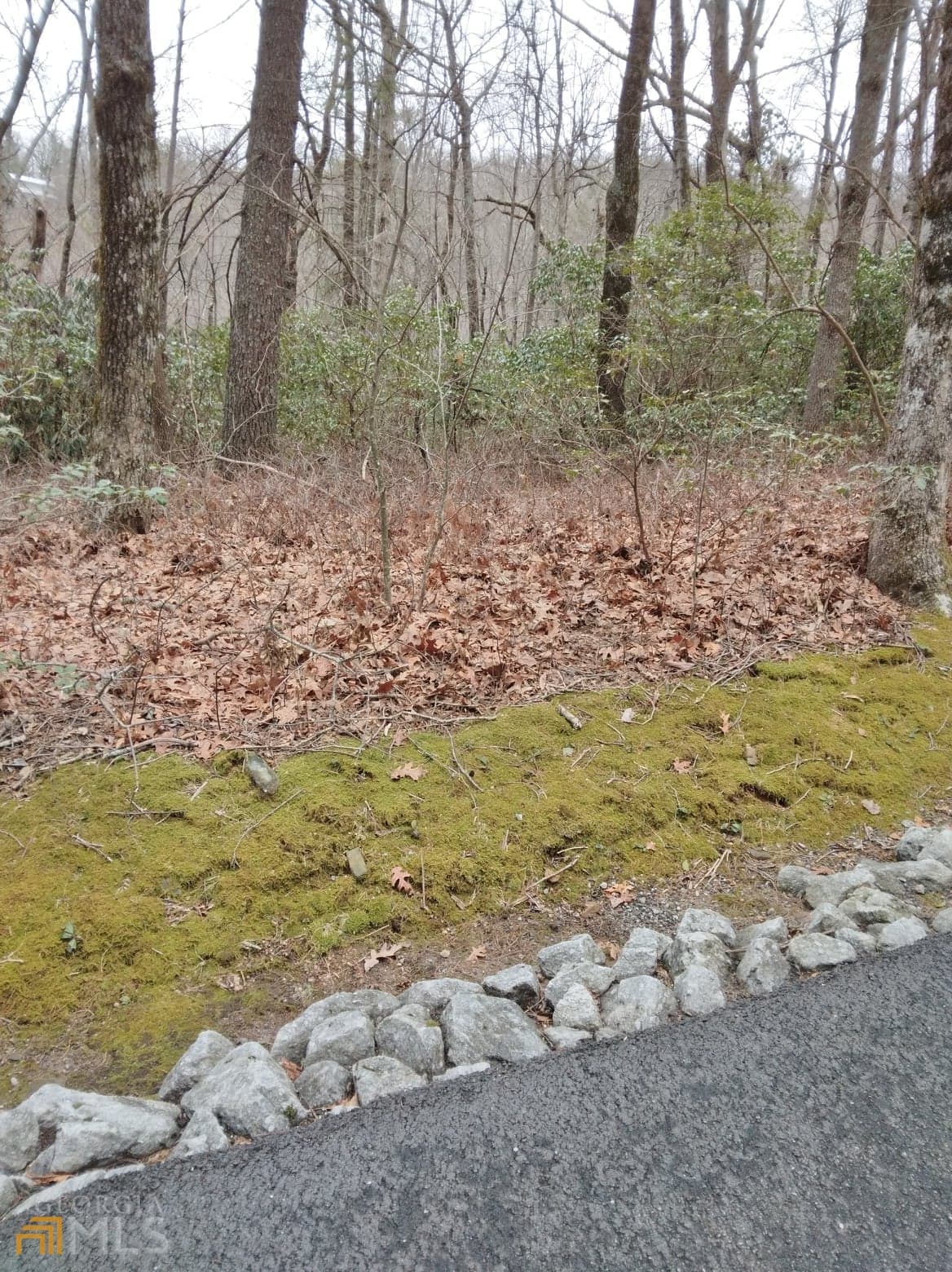 residential lot for sale at 0 LOT 10 & 11 Honey Bear LOT 10 & 11, Dillard, GA 30537 — photo 4
