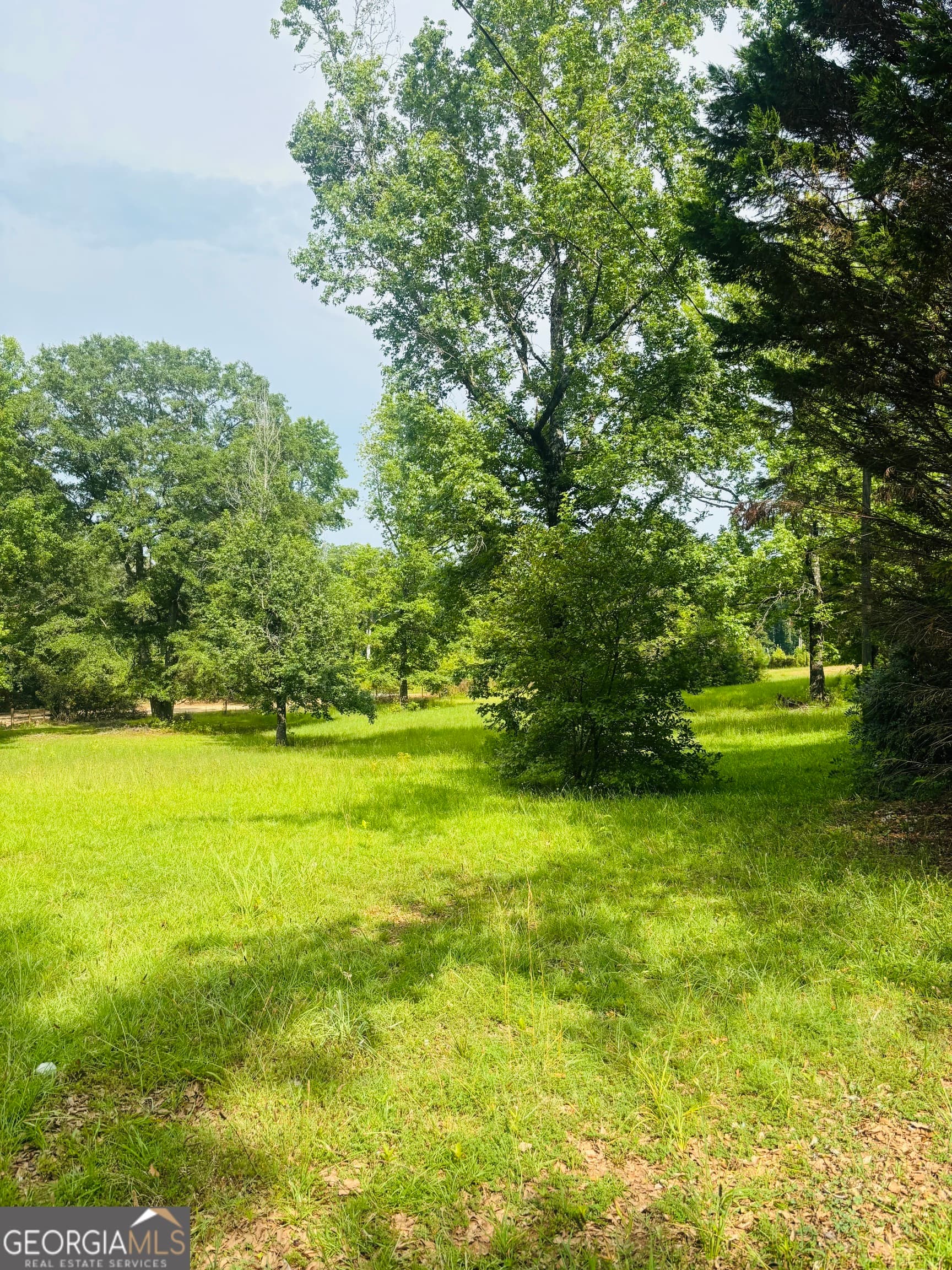 3 bedroom, 4 bathroom, 2,730 sq ft single family residence for sale at 3799 Jonathans Roost Road, Williamson, GA 30292 — photo 3