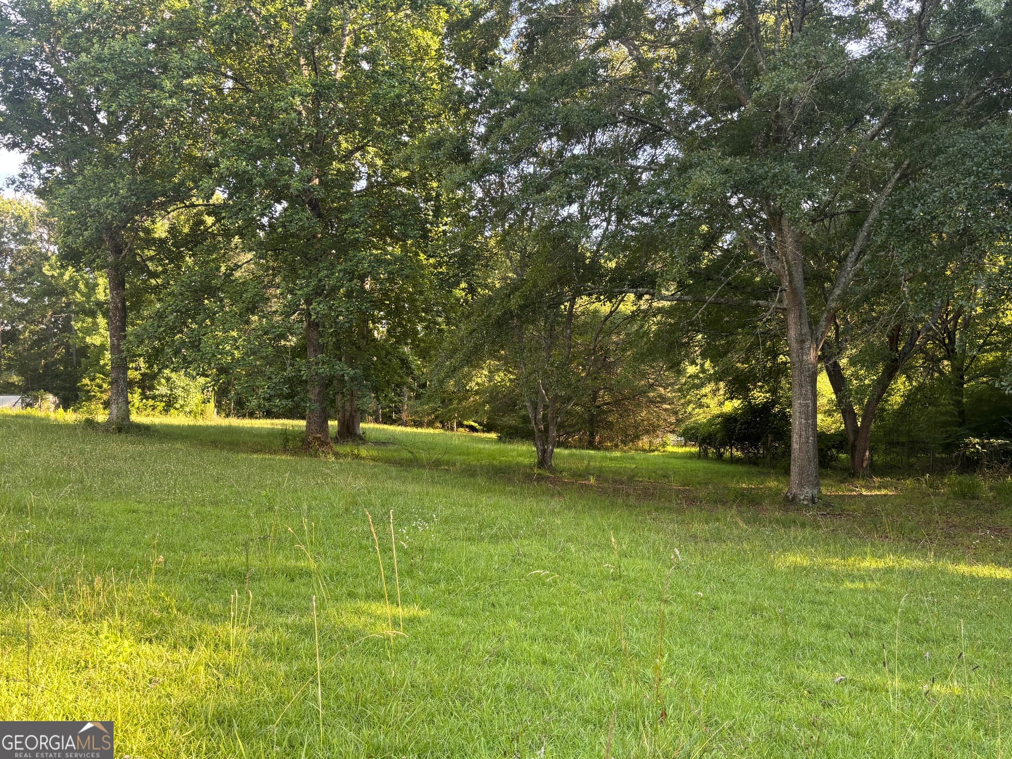 3 bedroom, 4 bathroom, 2,730 sq ft single family residence for sale at 3799 Jonathans Roost Road, Williamson, GA 30292 — photo 4